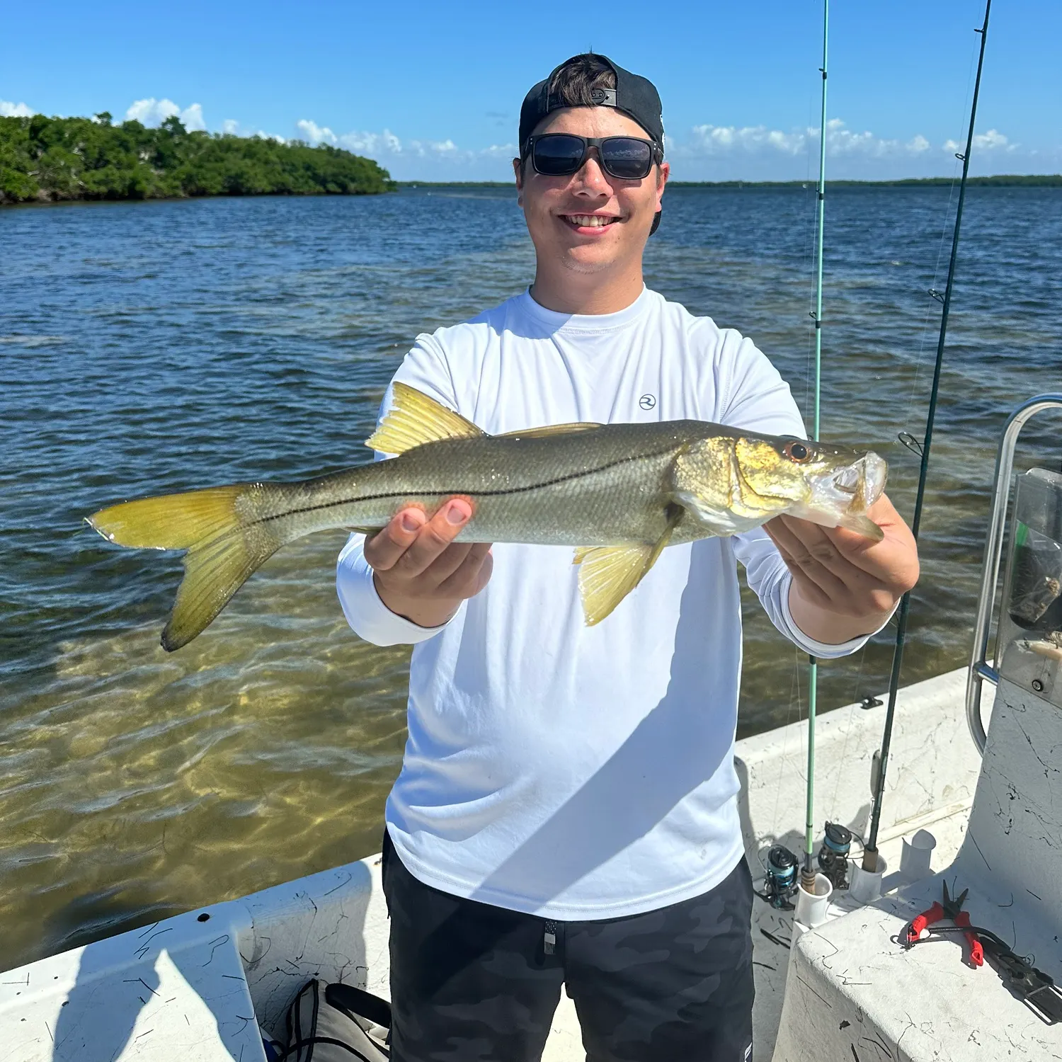 The most recent Common snook catches on Fishbrain