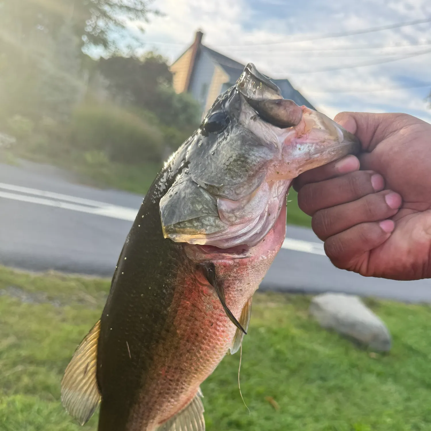 catch