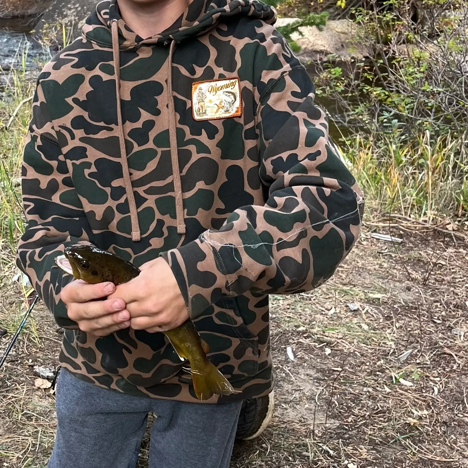 Brown trout caught on Fishbrain