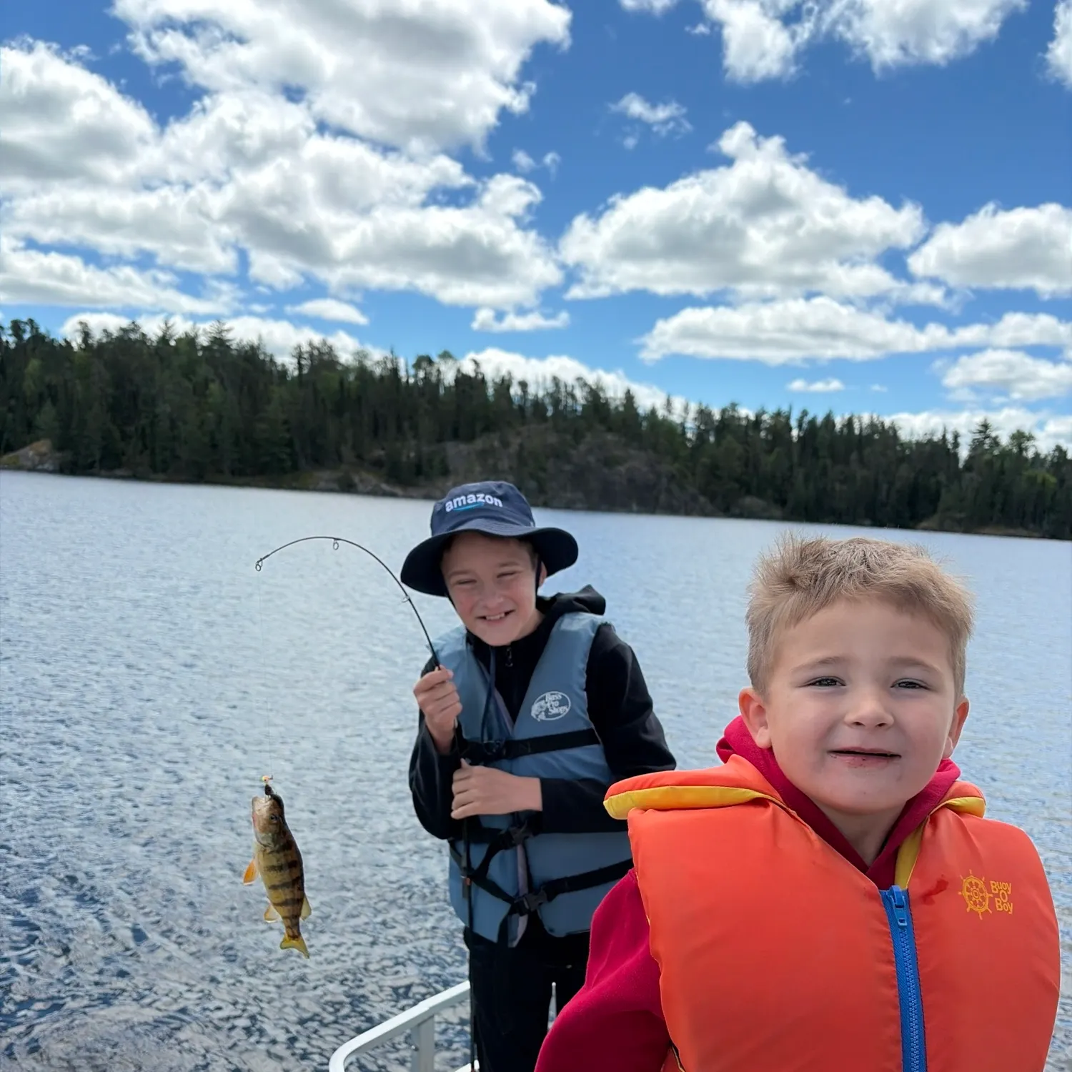 Yellow perch caught on Fishbrain