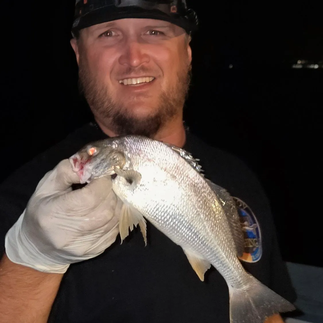 Spotfin croaker caught on Fishbrain