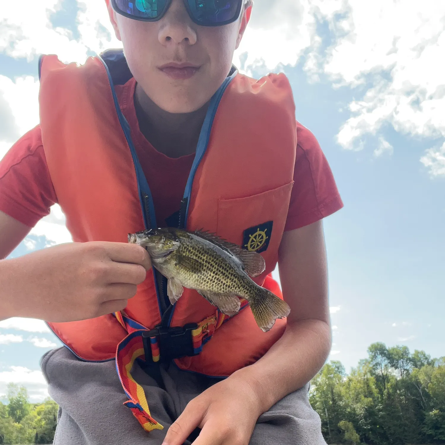 Rock bass caught on Fishbrain