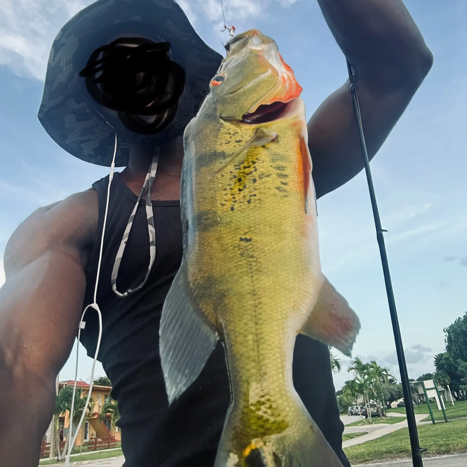 The most recent Butterfly peacock bass catches on Fishbrain