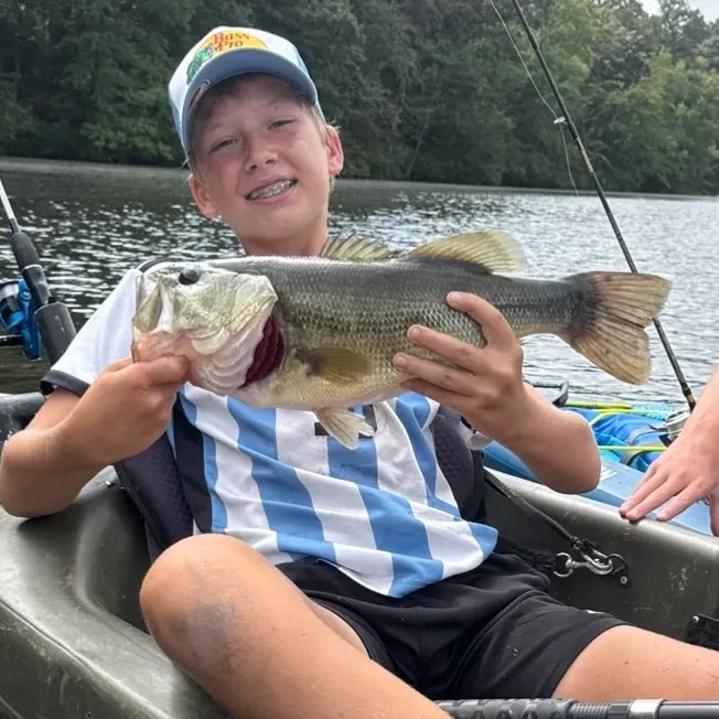 Largemouth bass caught on Fishbrain