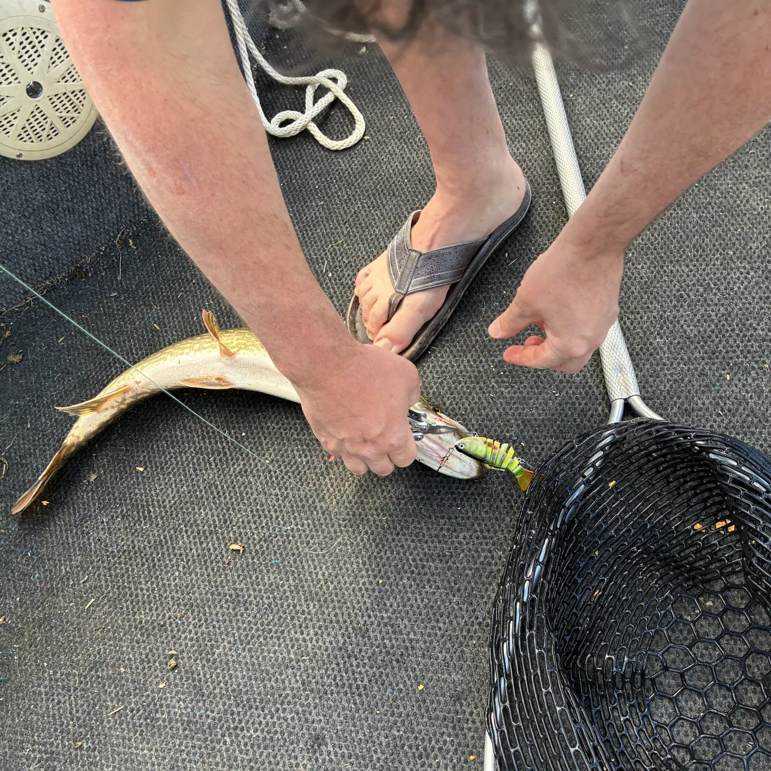 catch