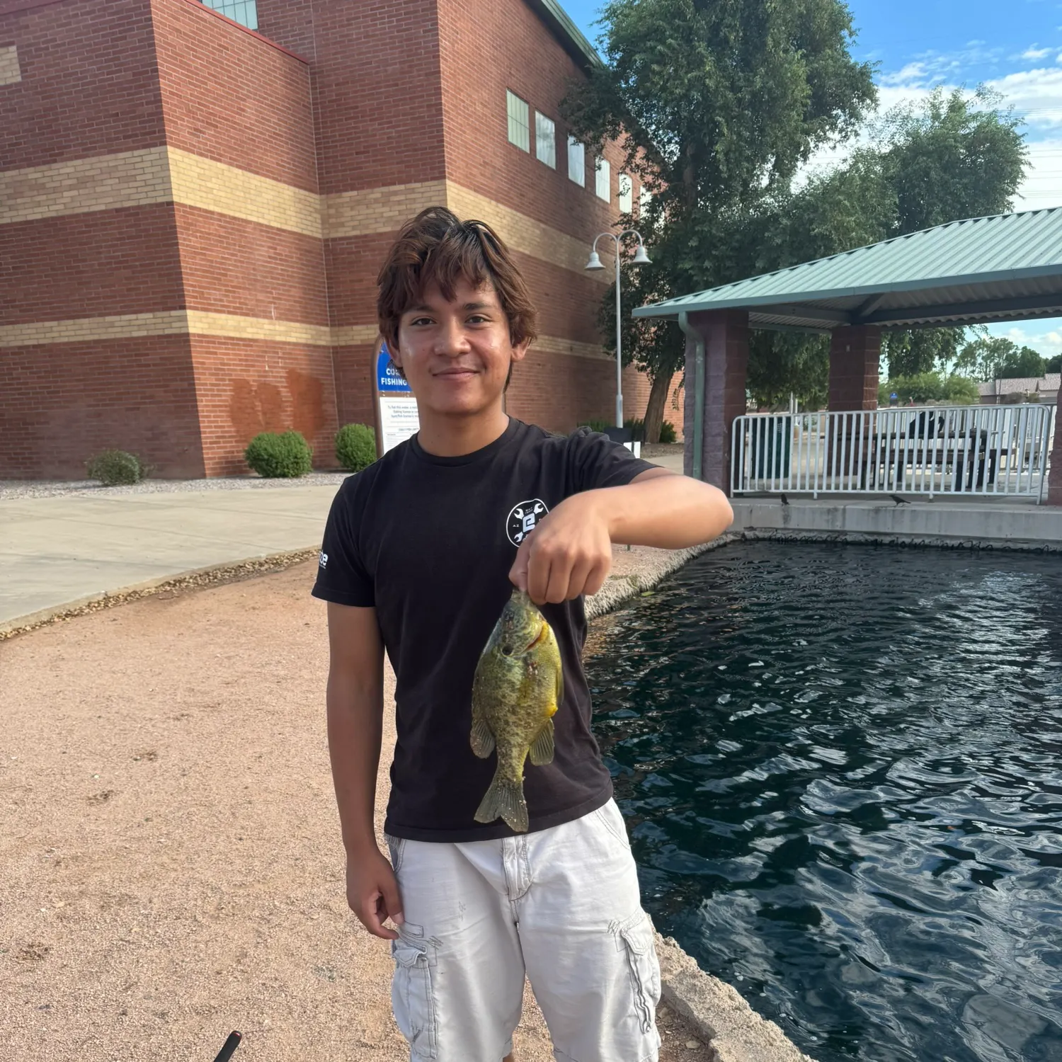 Bluegill caught on Fishbrain