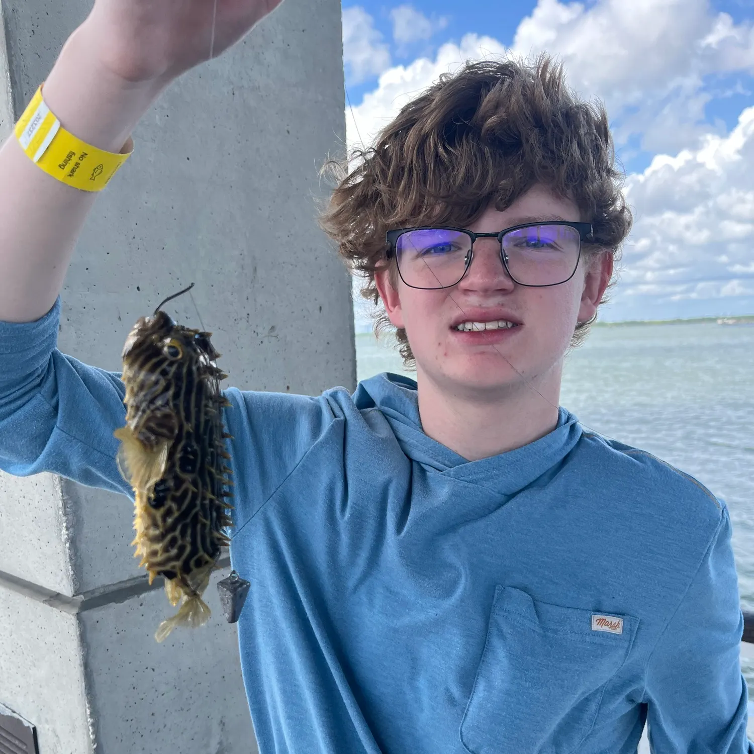 Striped burrfish caught on Fishbrain