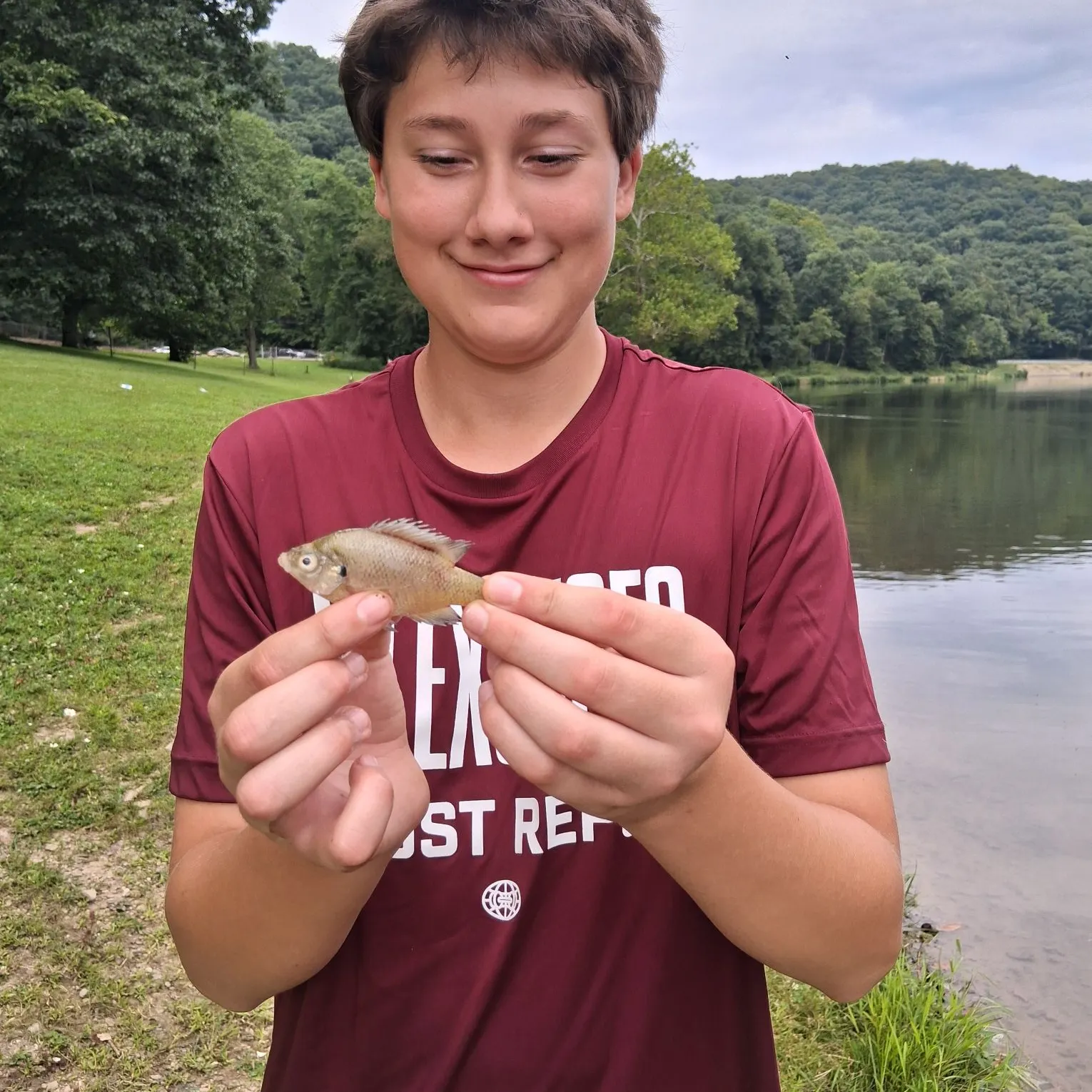 Bluegill caught on Fishbrain