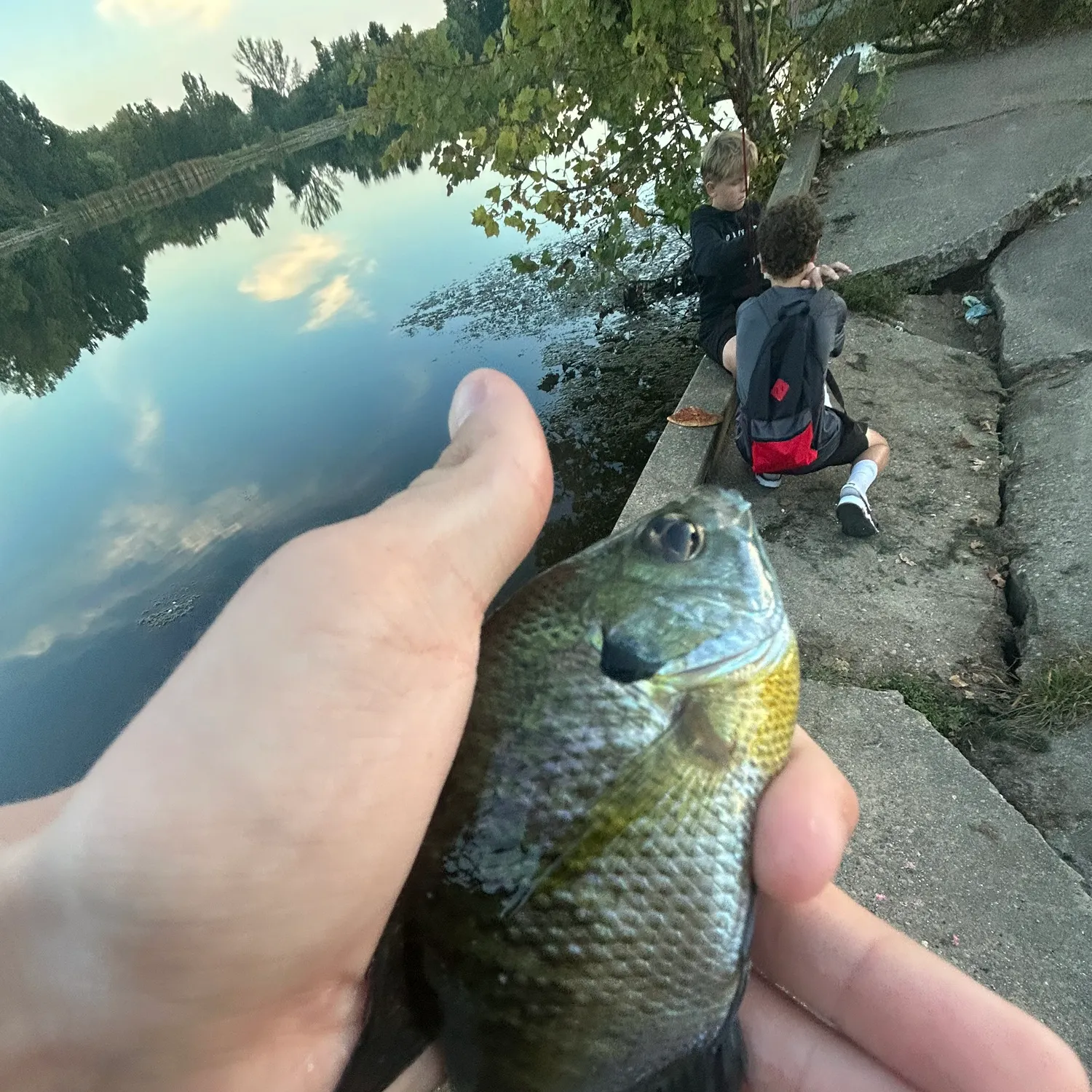 catch