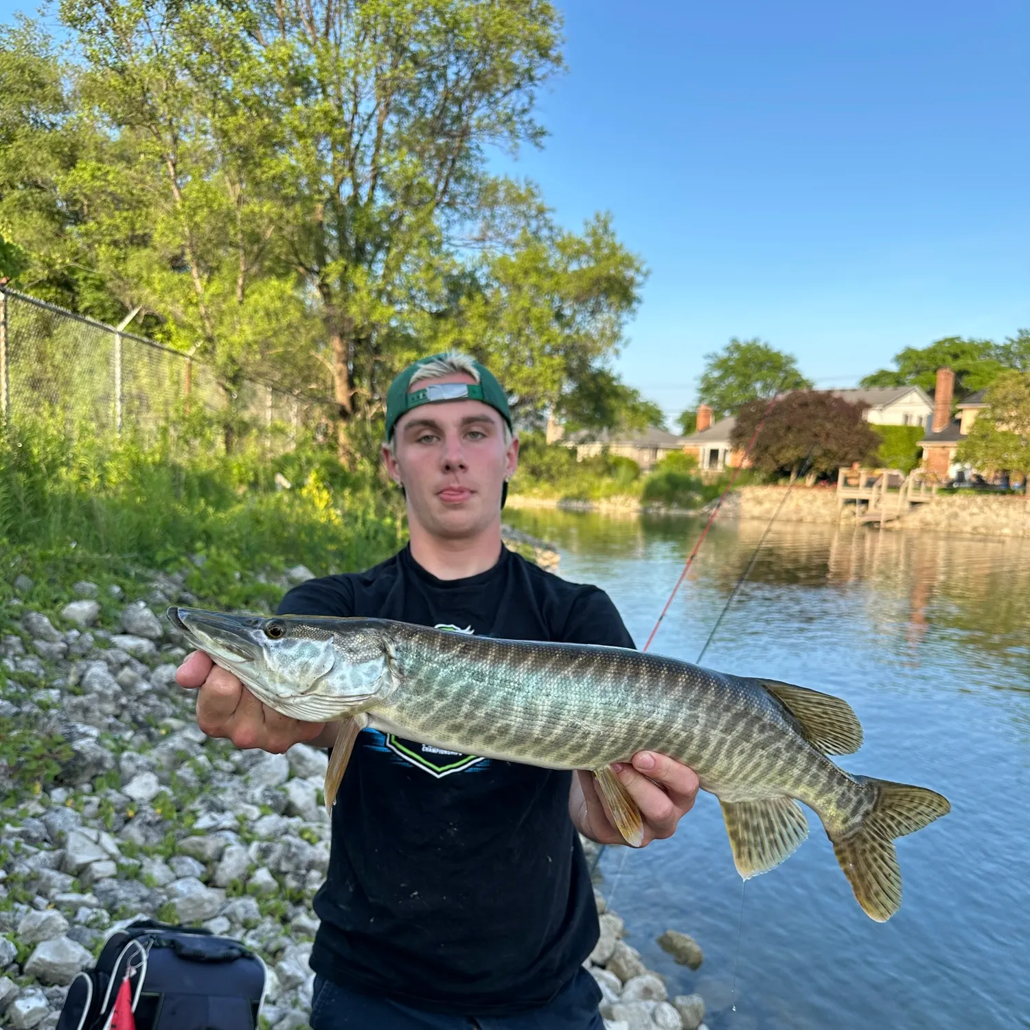 most liked catch image