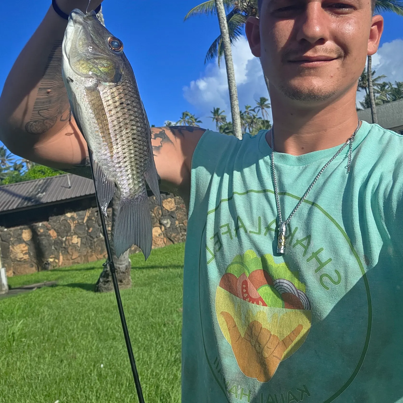 Nile tilapia caught on Fishbrain