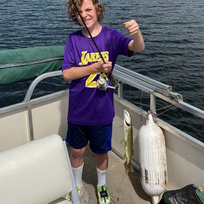 The most recent Northern pike catches on Fishbrain