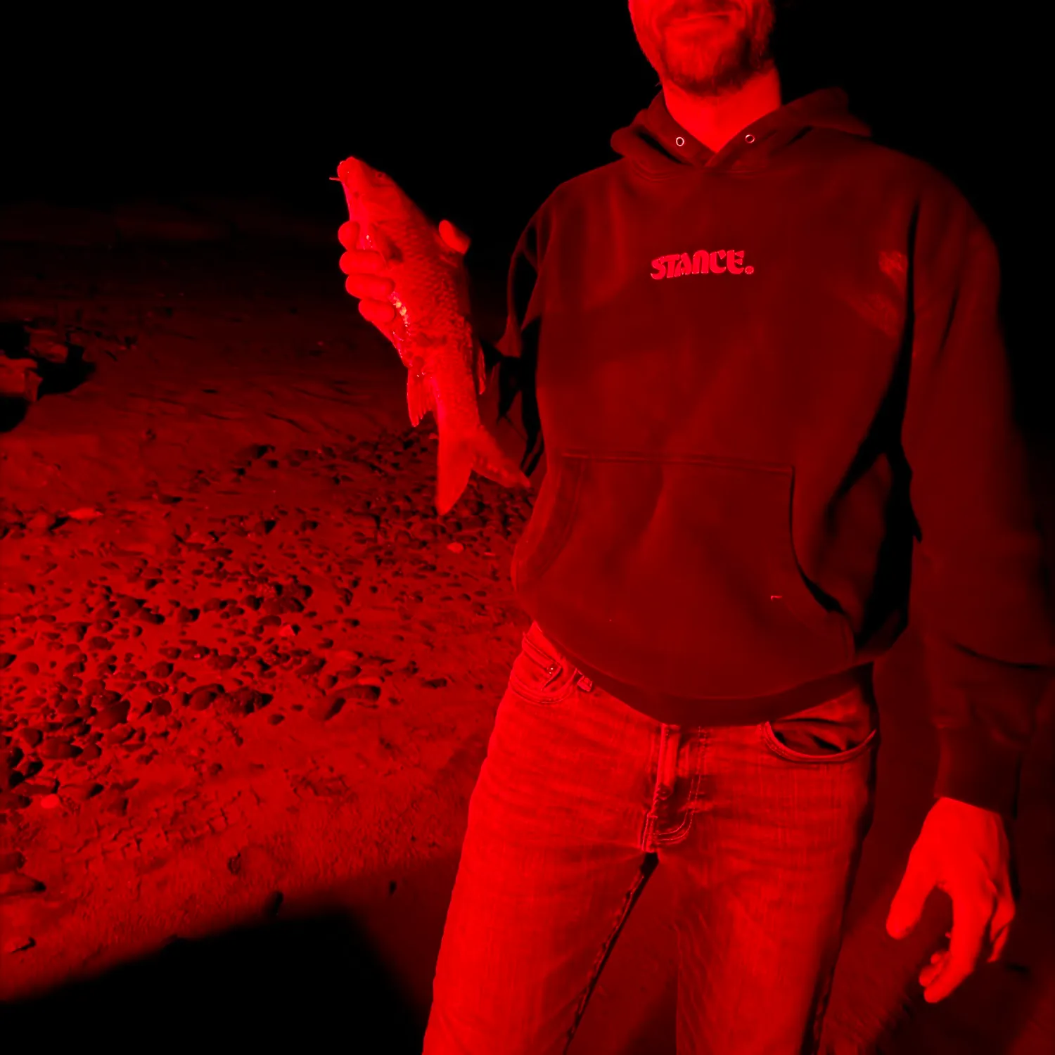 Common carp caught on Fishbrain
