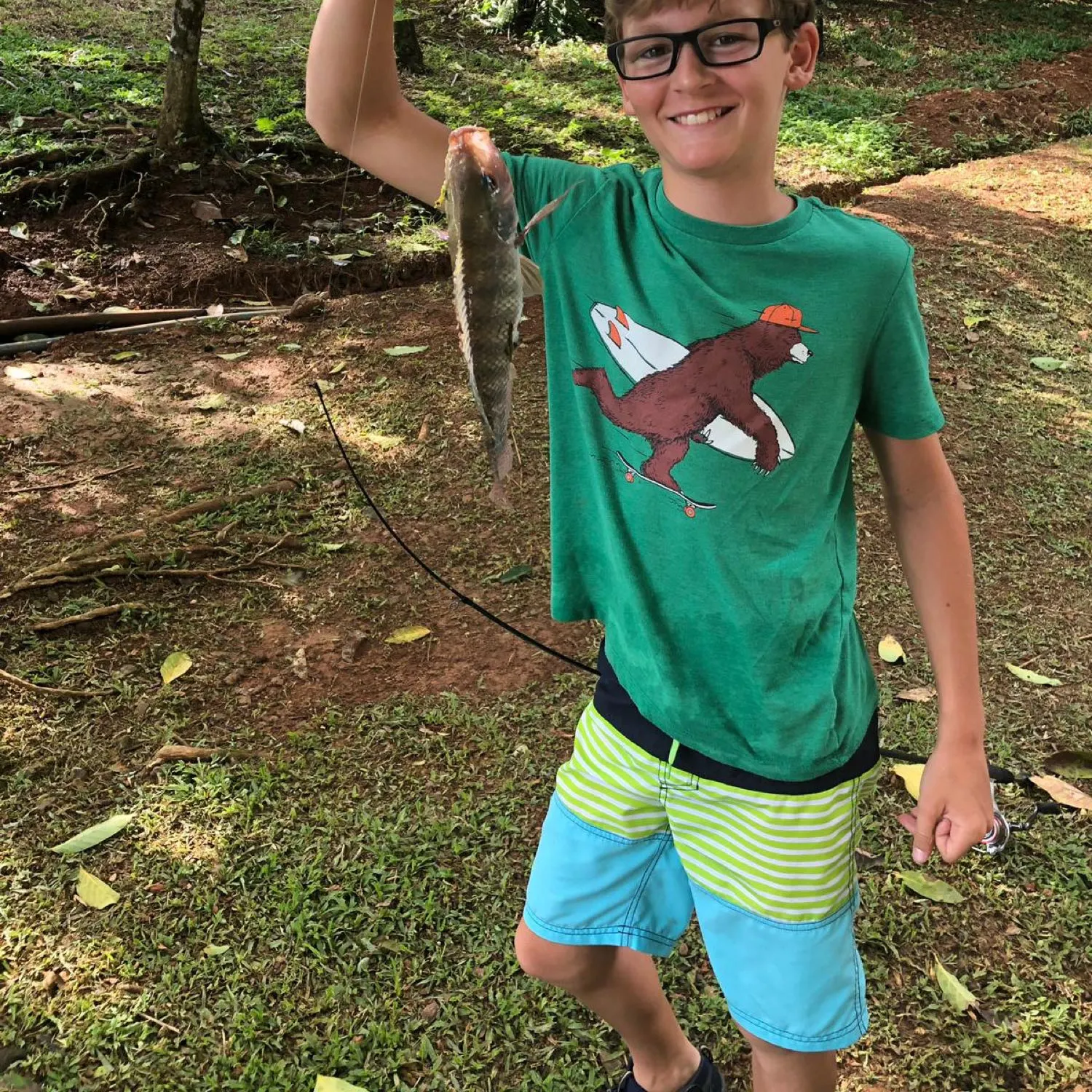 recently logged catches