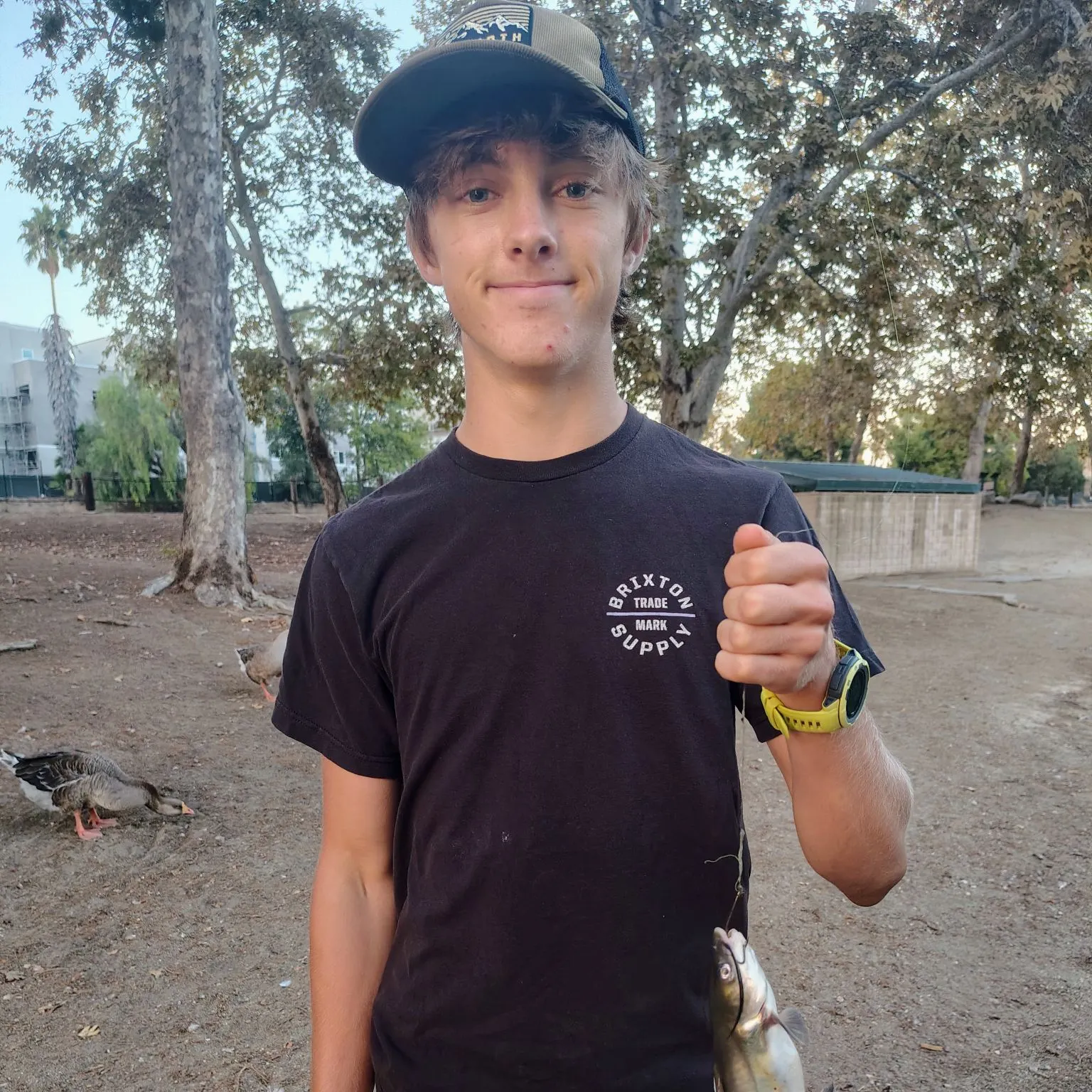 Channel catfish caught on Fishbrain