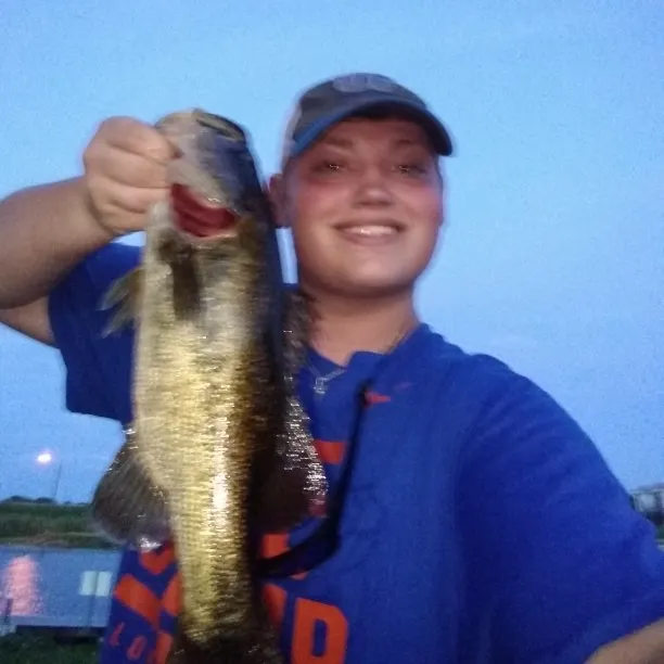 angler catch