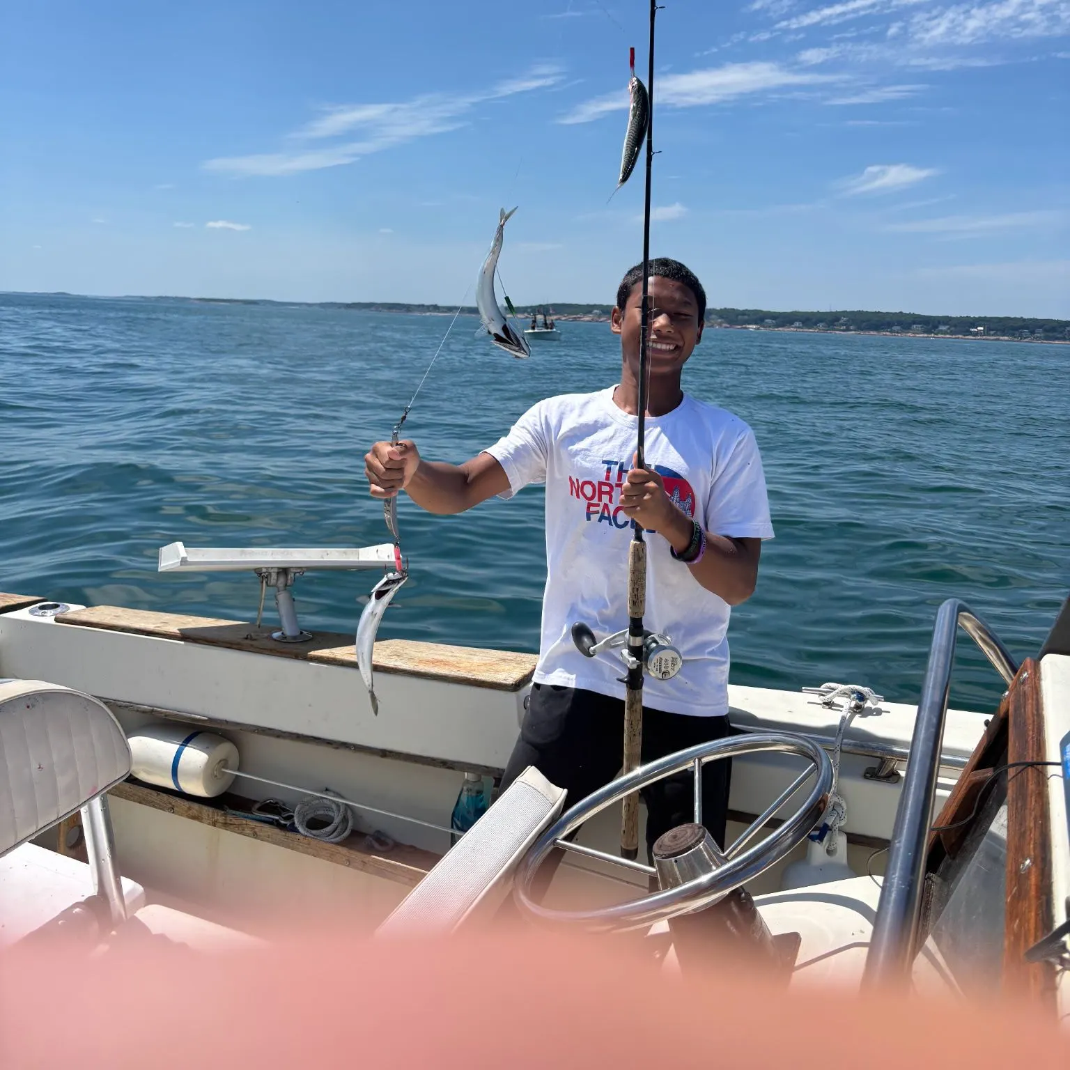 The most recent Island mackerel catches on Fishbrain