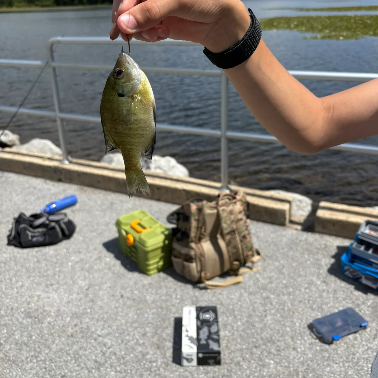 catch