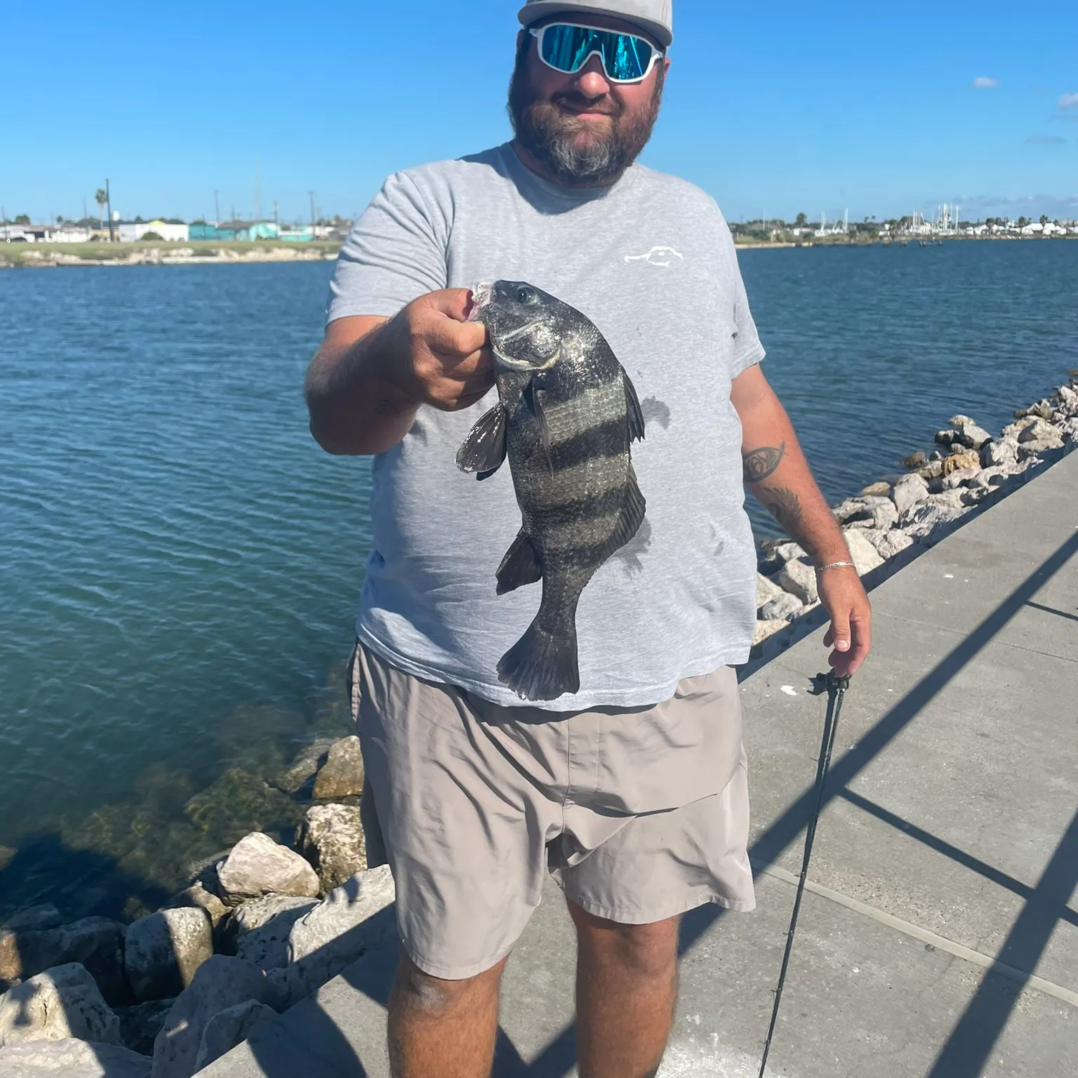 The most recent Black drum catches on Fishbrain