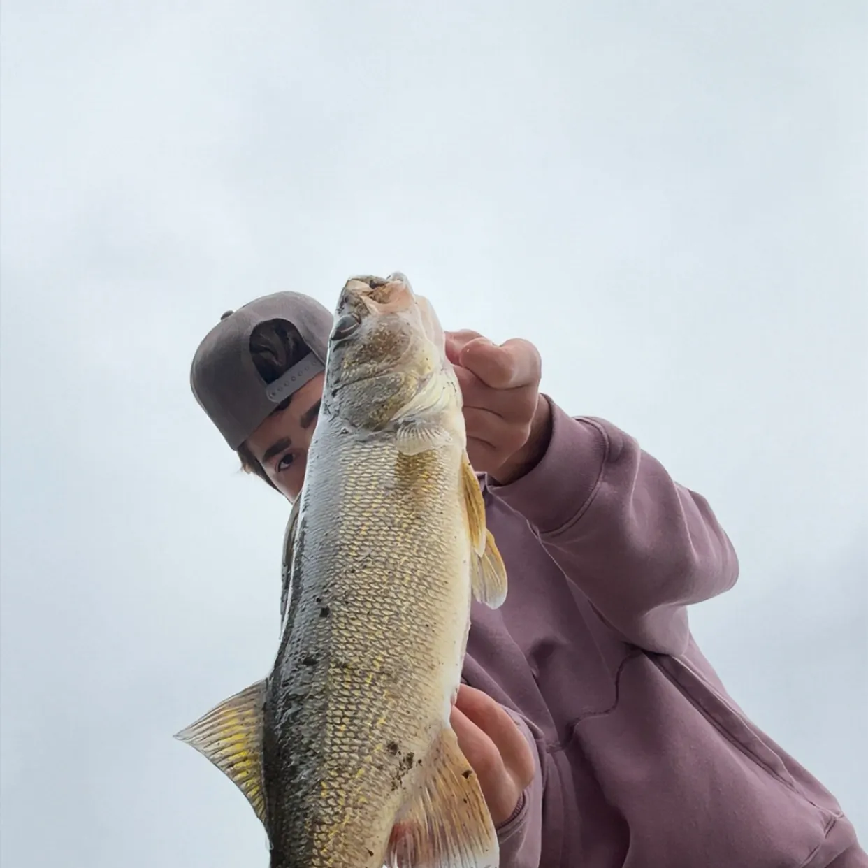 Walleye caught on Fishbrain