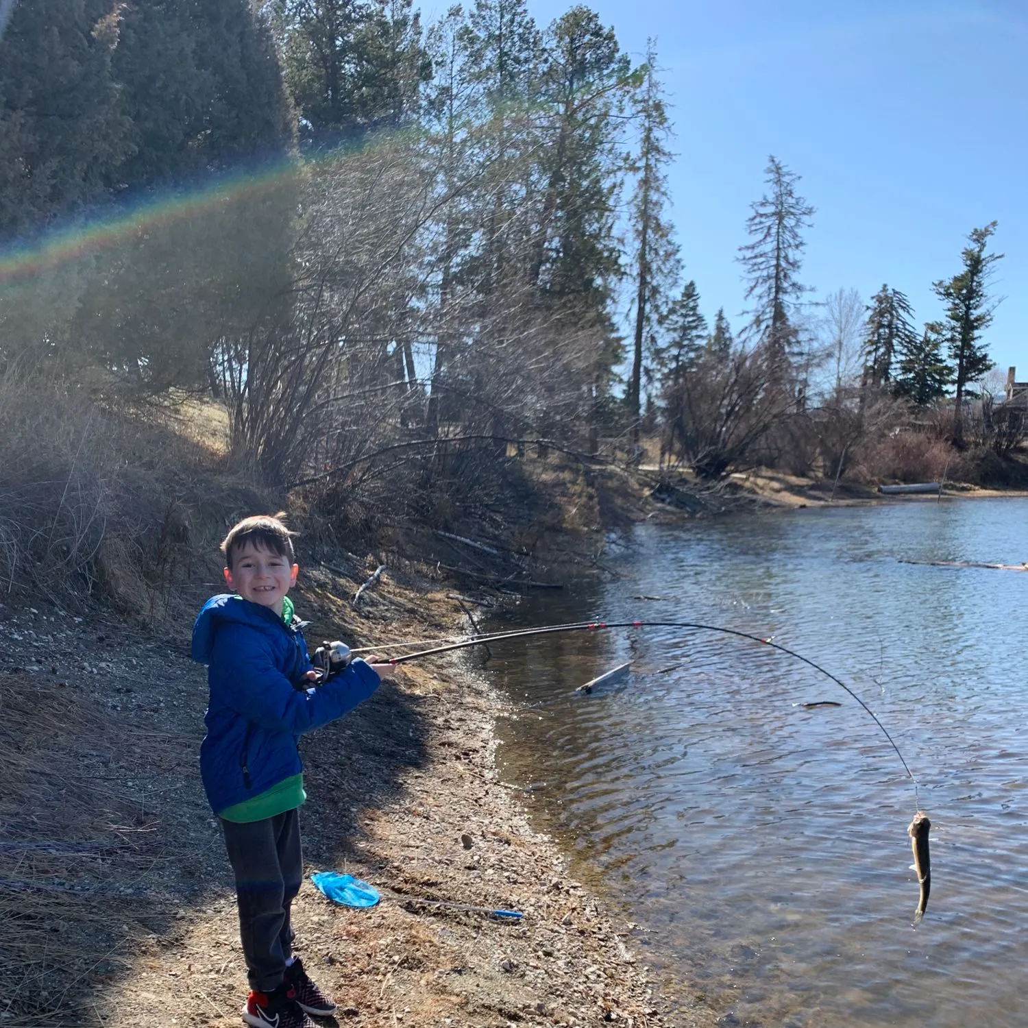 Rainbow trout caught on Fishbrain