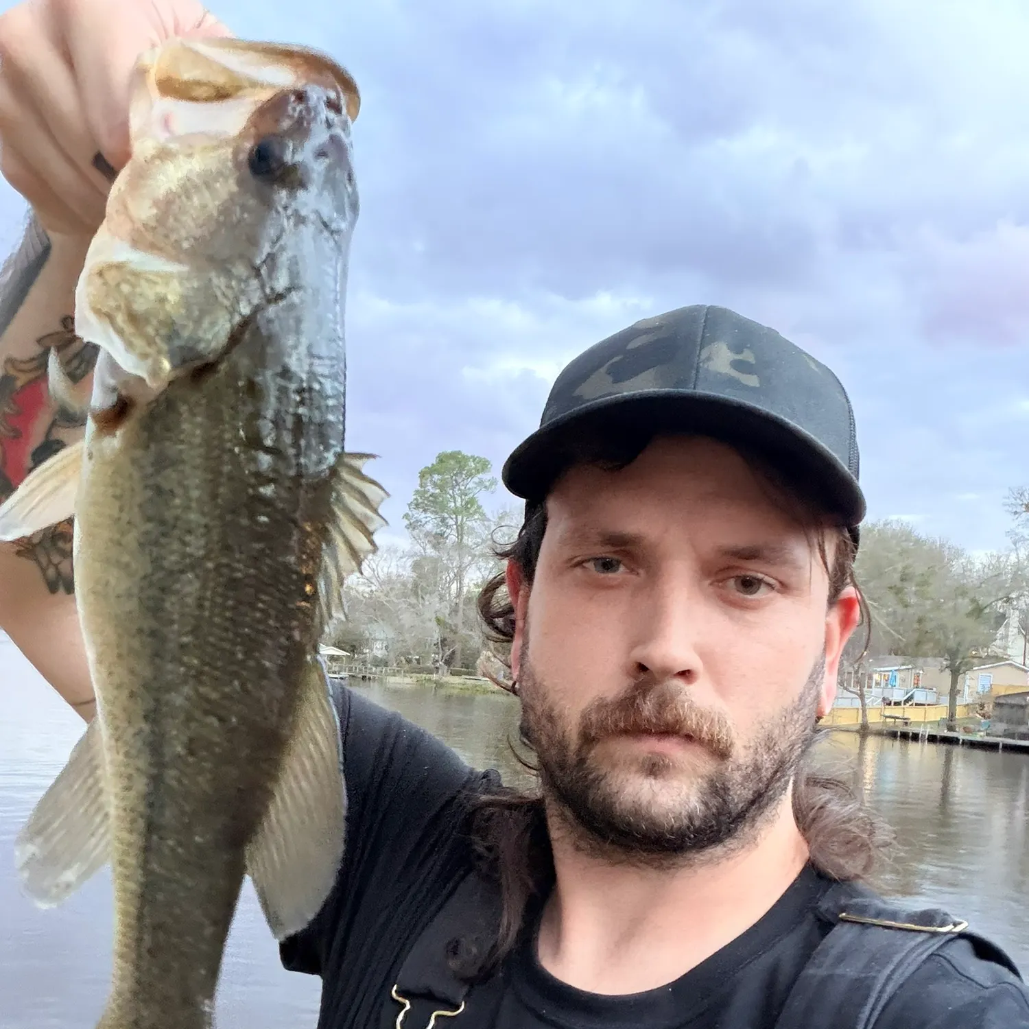 The most recent Largemouth bass catches on Fishbrain