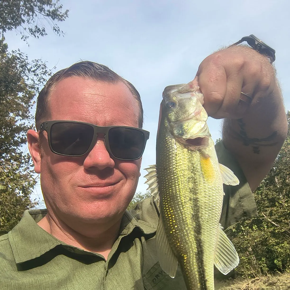 Largemouth bass caught on Fishbrain
