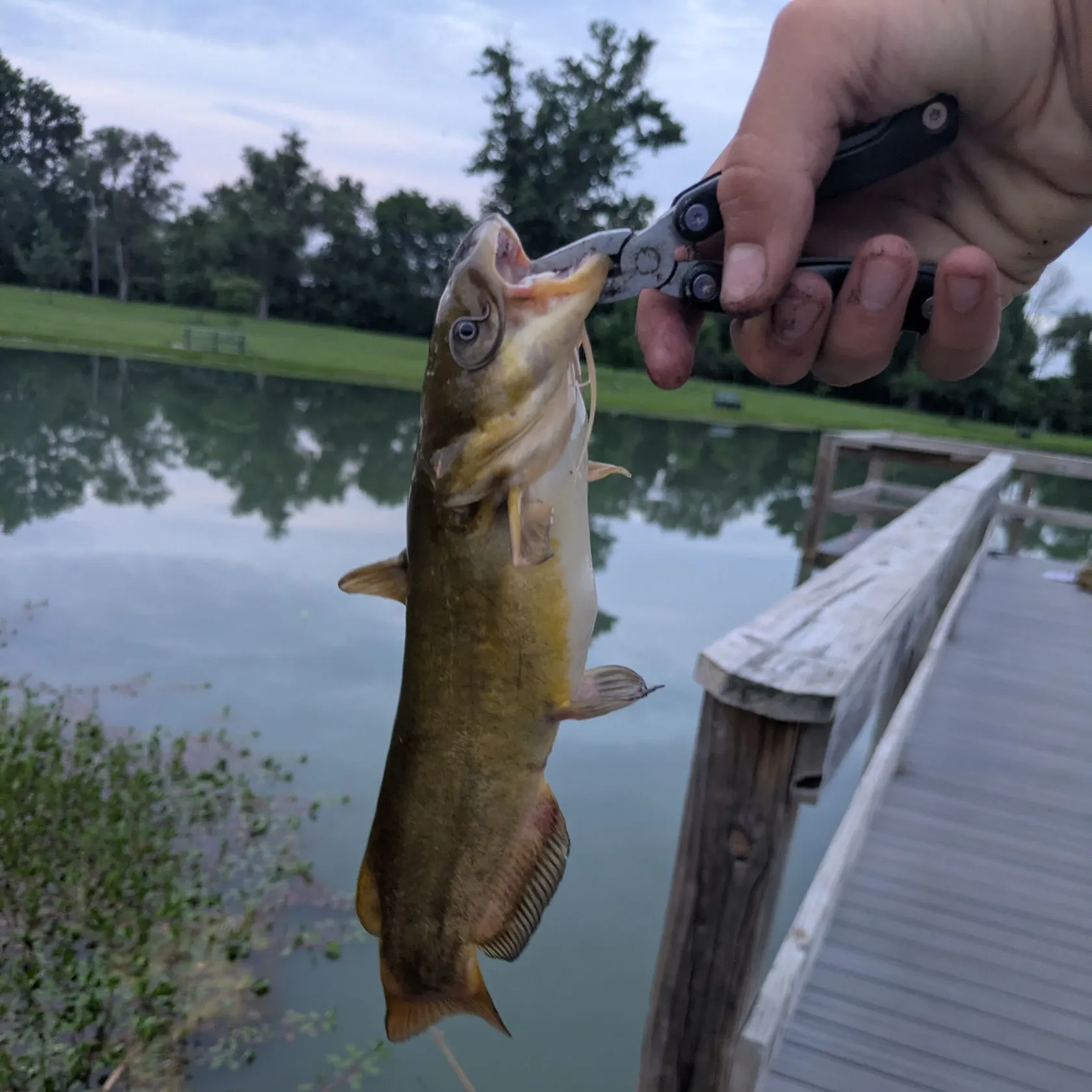 catch