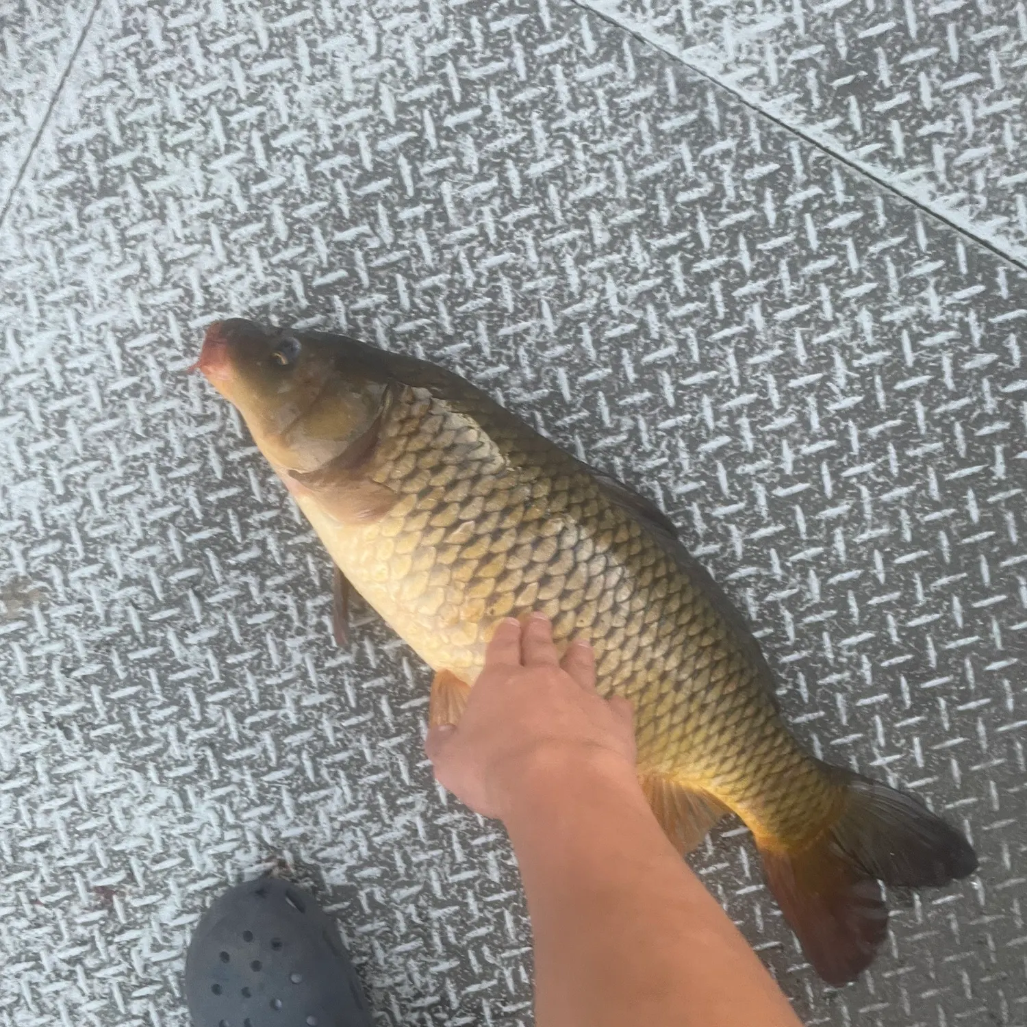 most liked catch image