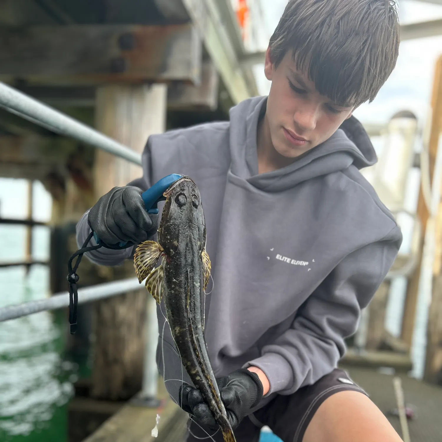 The most recent Blue-spotted flathead catches on Fishbrain