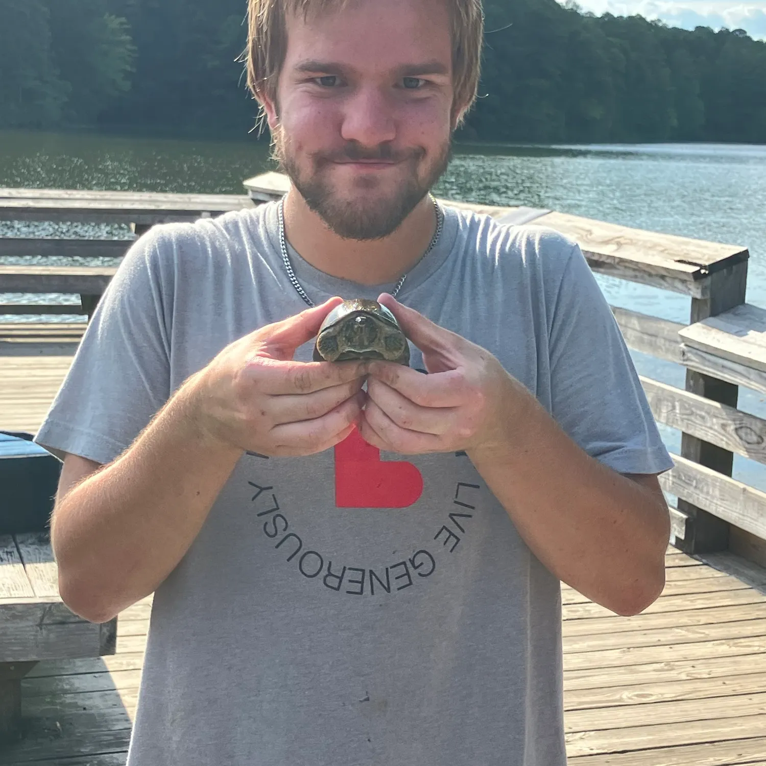 The most recent Pond slider turtle catches on Fishbrain