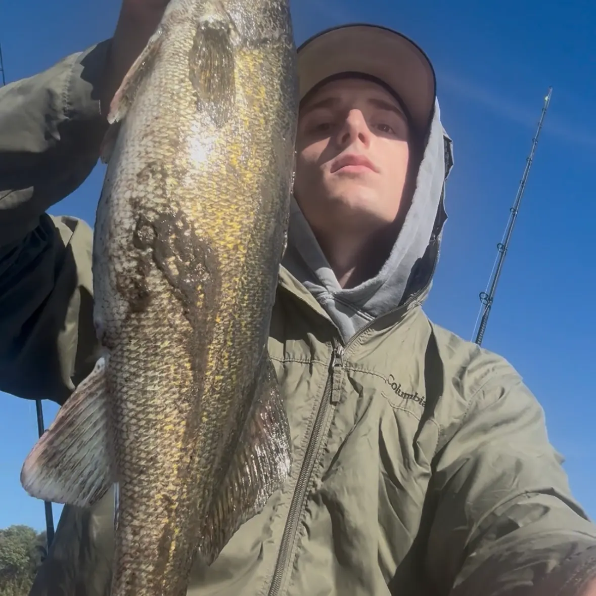 Walleye caught on Fishbrain