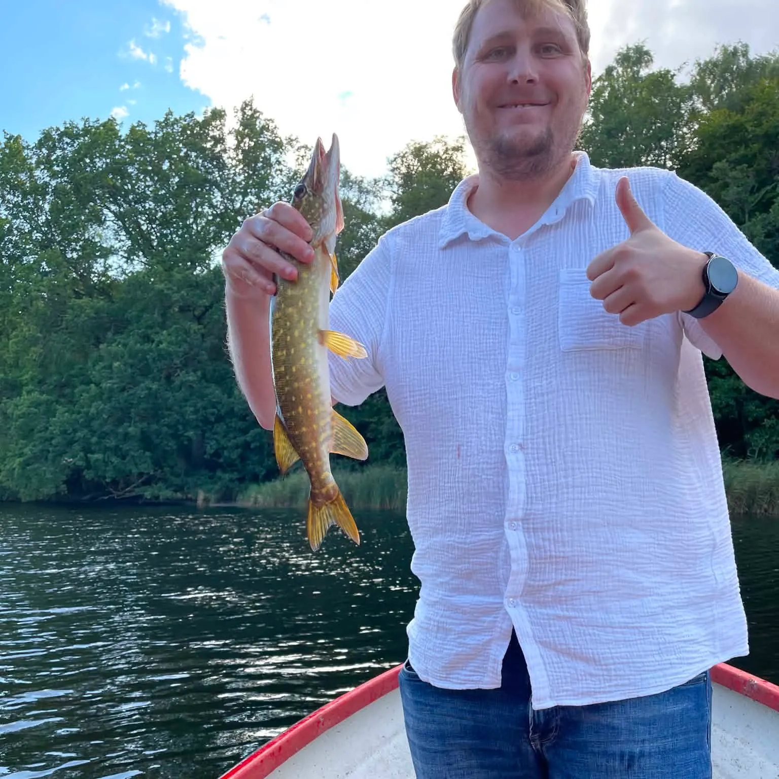 Northern pike caught on Fishbrain
