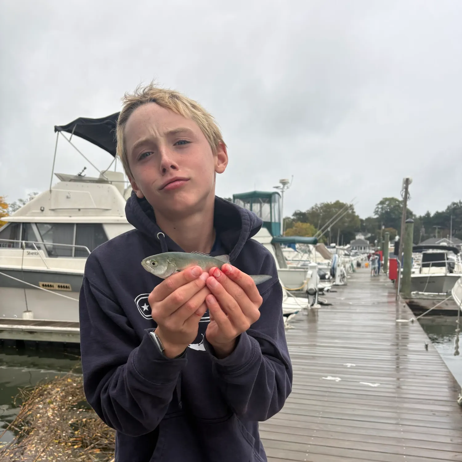 Bluefish caught on Fishbrain