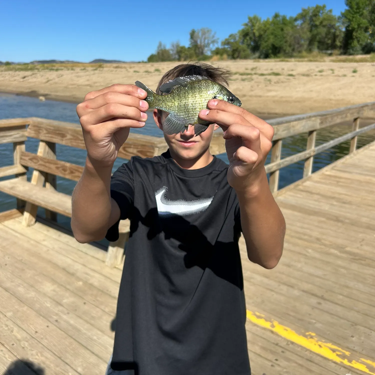 Bluegill caught on Fishbrain