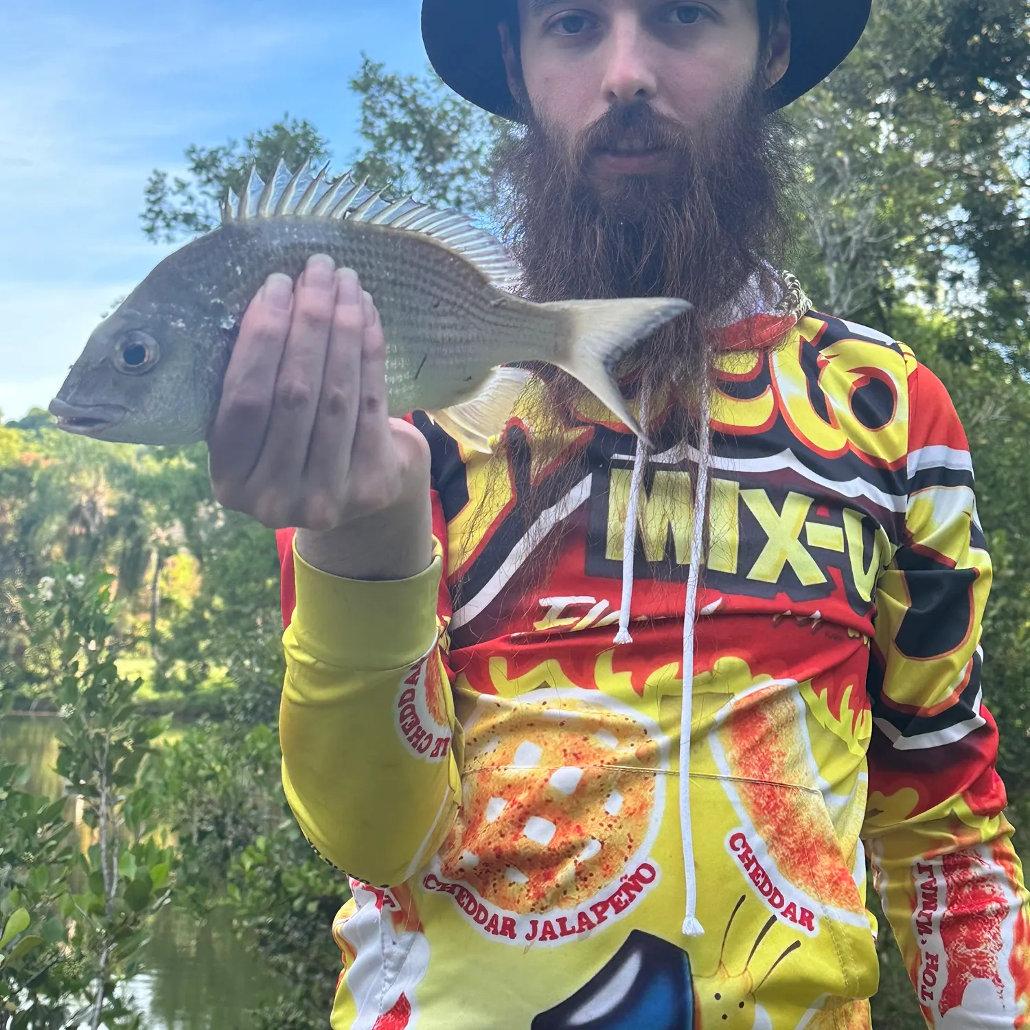 Surf bream caught on Fishbrain