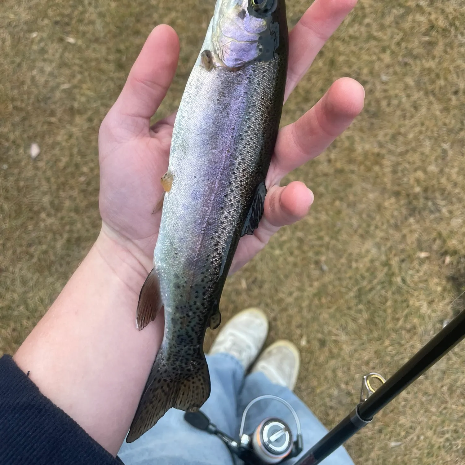 The most recent Cutbow catches on Fishbrain