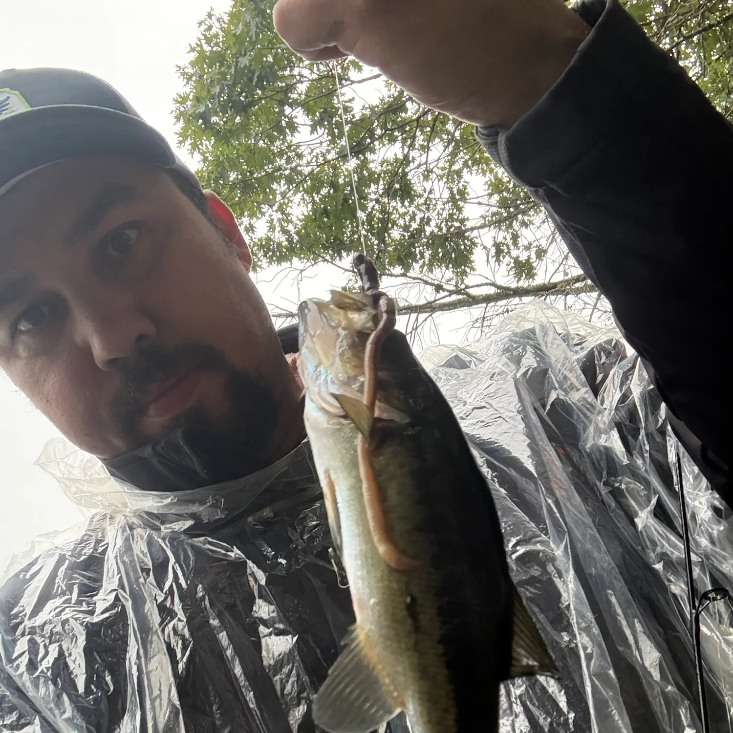 Smallmouth bass caught on Fishbrain