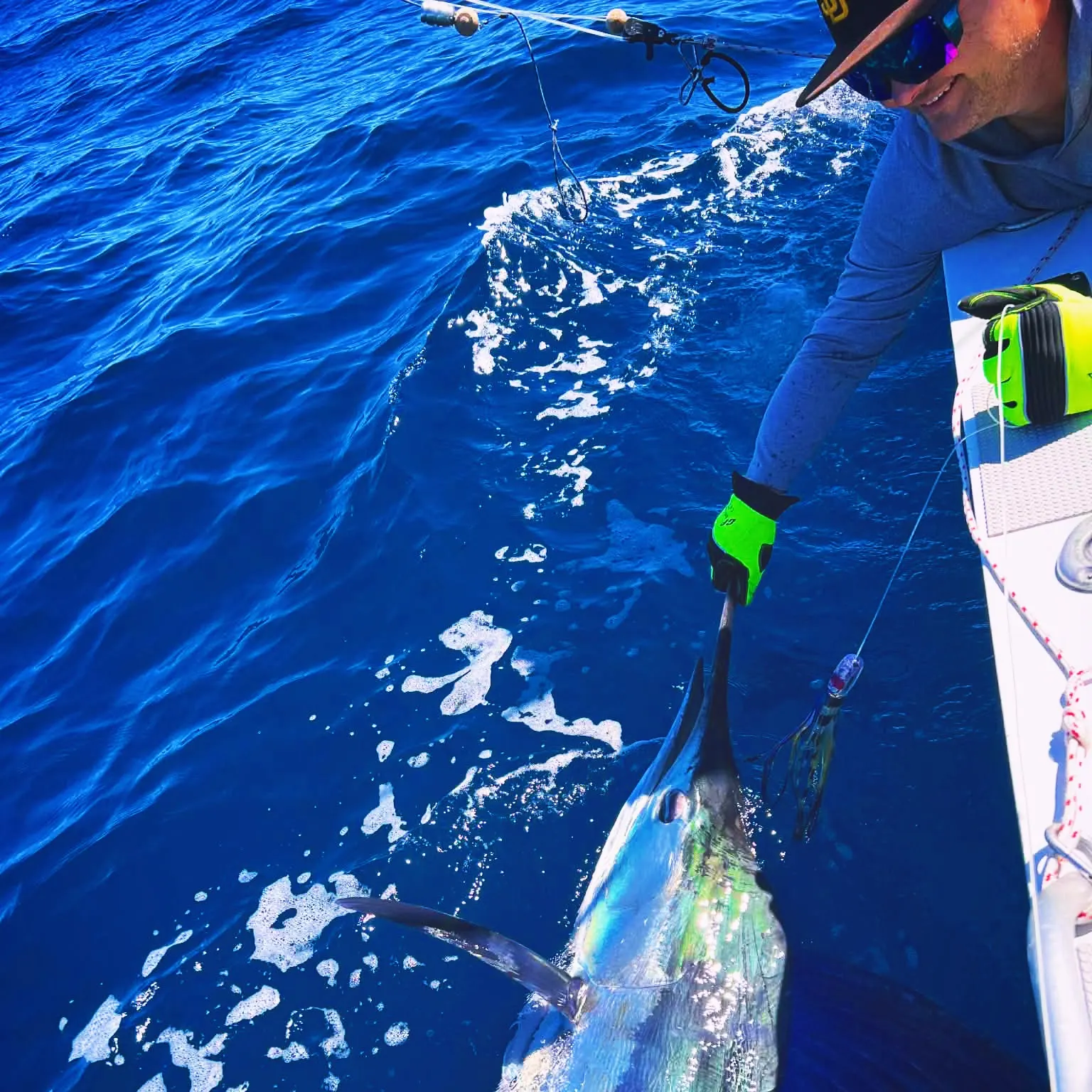 The most recent Striped marlin catches on Fishbrain