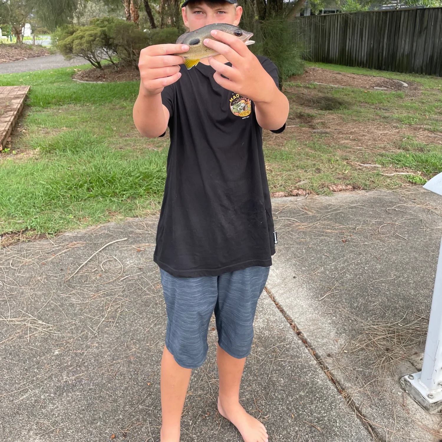 The most recent Moses perch catches on Fishbrain