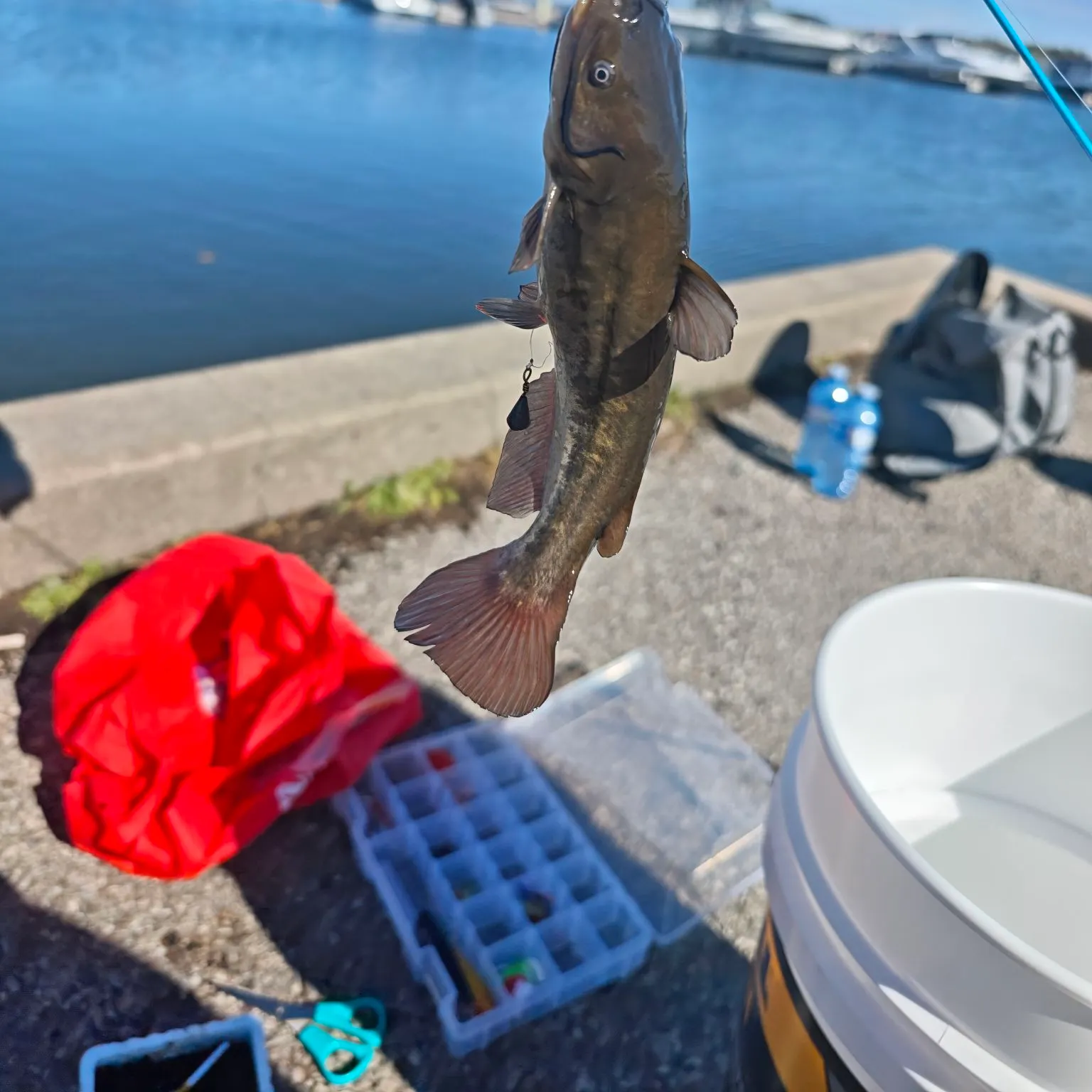 catch