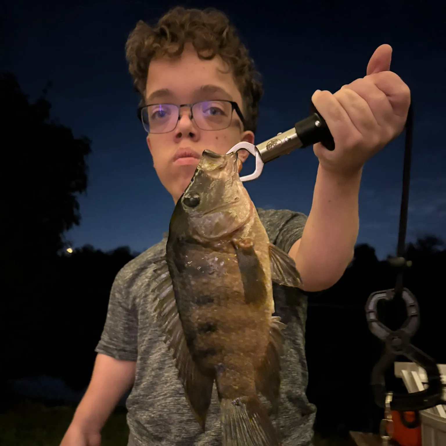 The most recent Mayan cichlid catches on Fishbrain