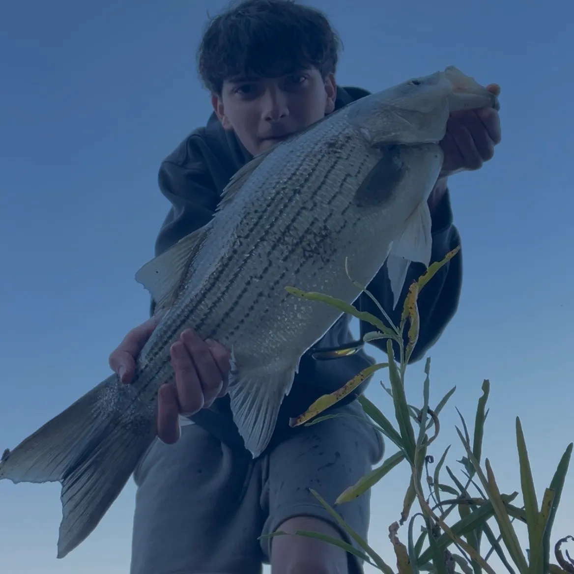 Wiper caught on Fishbrain