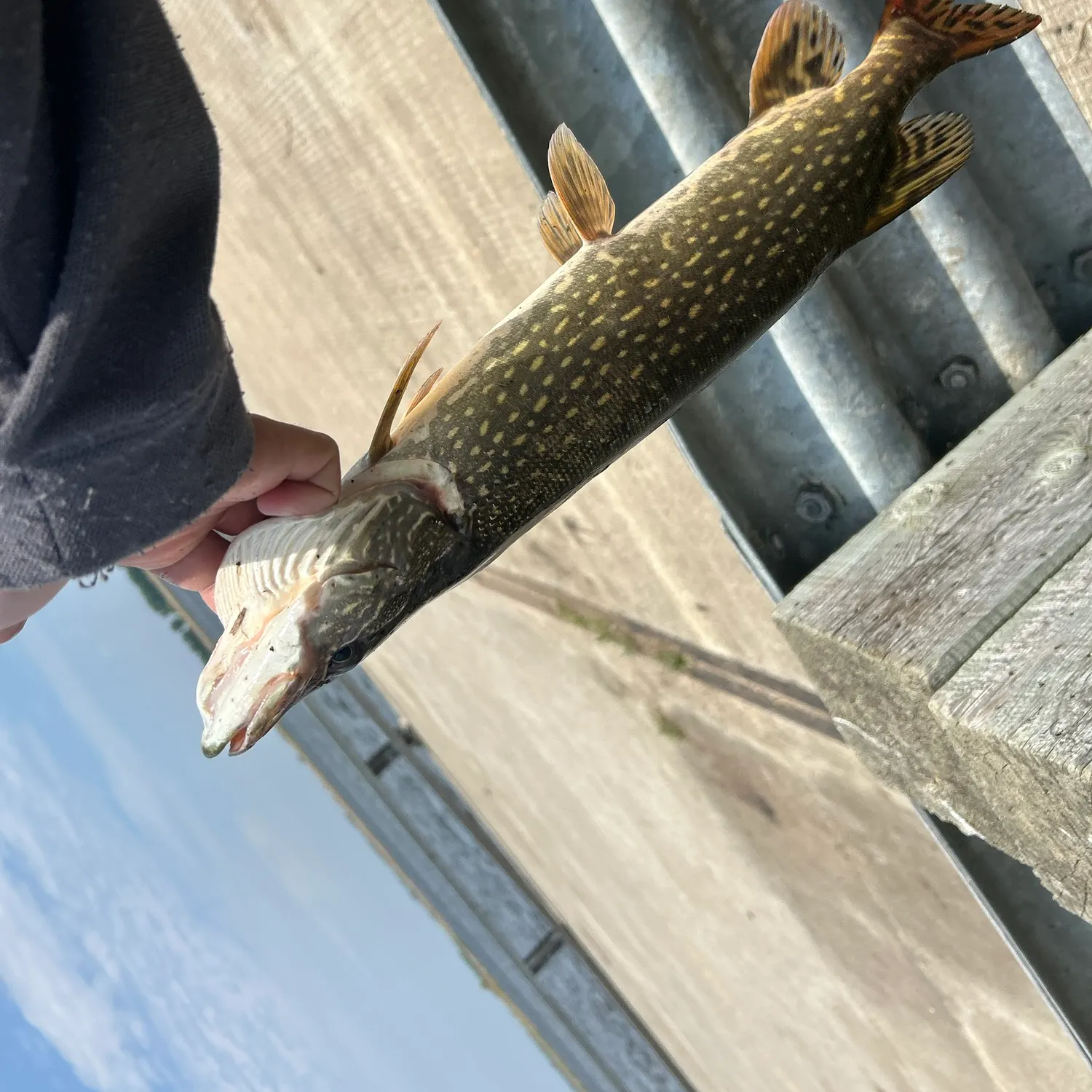 catch