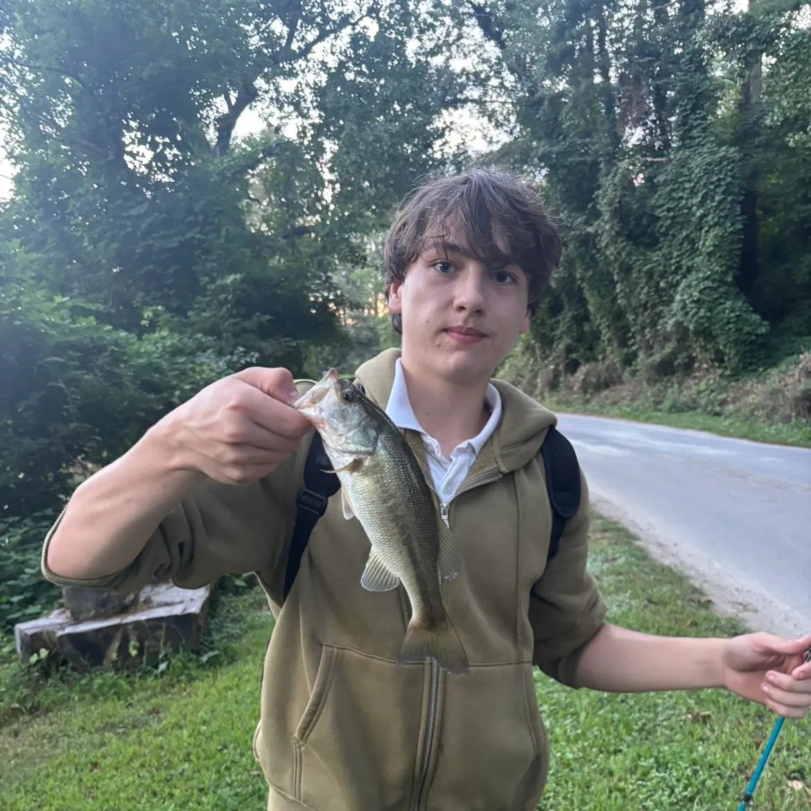 Fish caught on Fishbrain