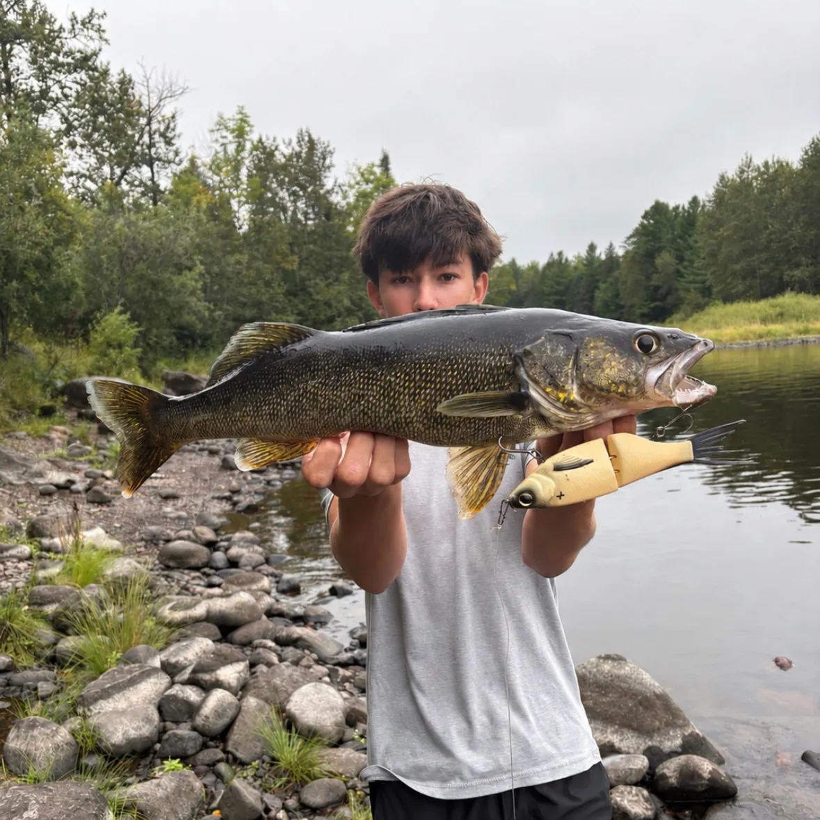 Walleye caught on Fishbrain