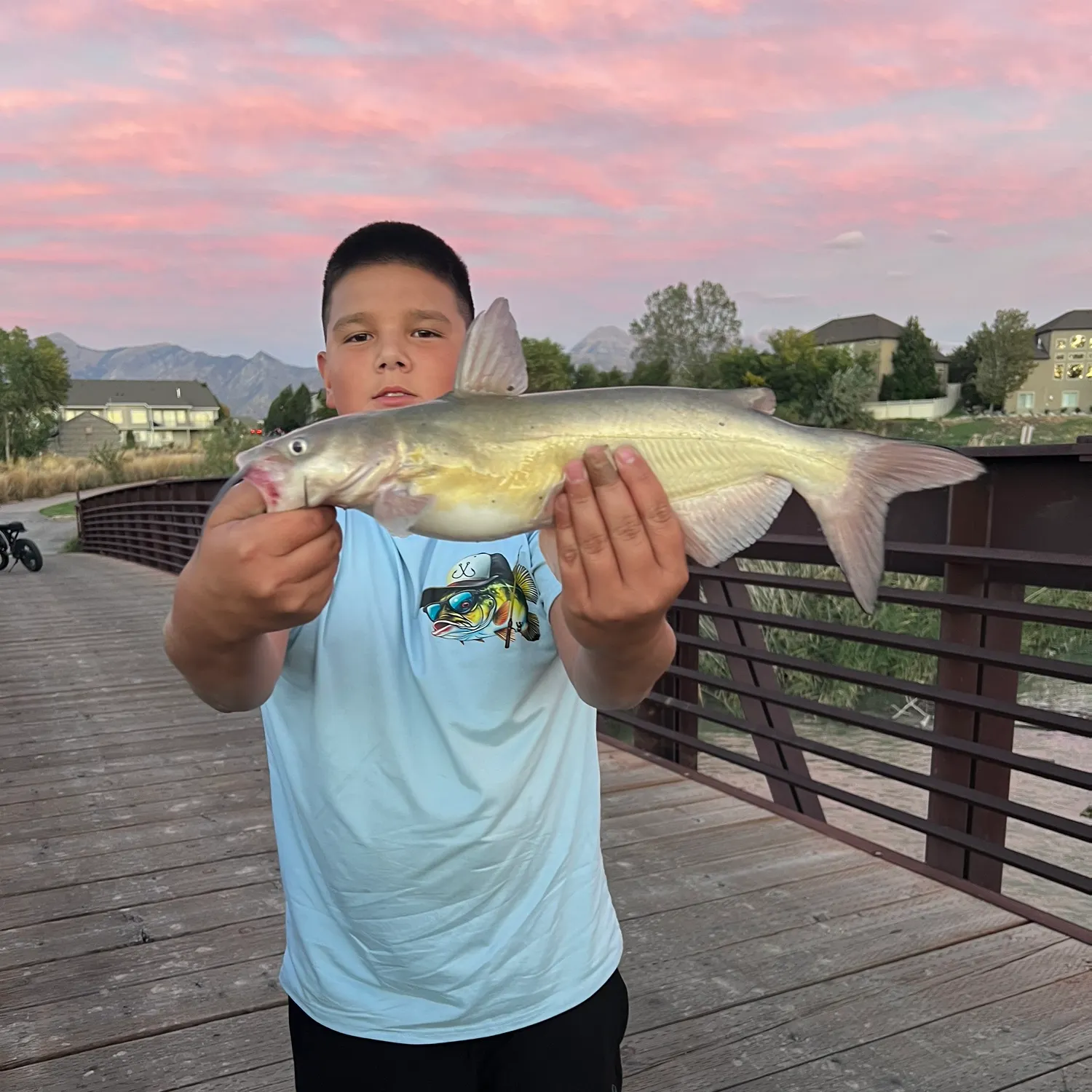 Channel catfish caught on Fishbrain