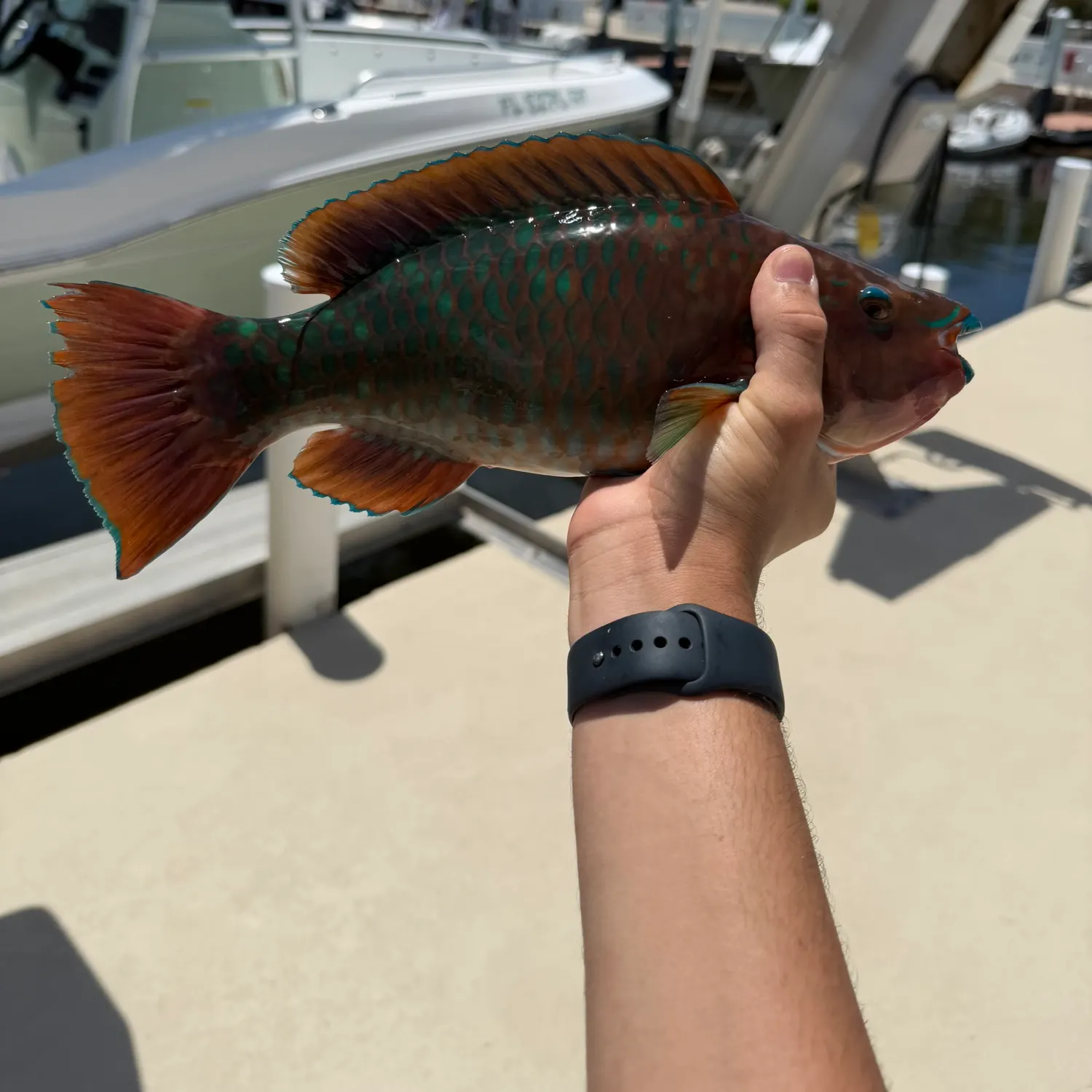 catch