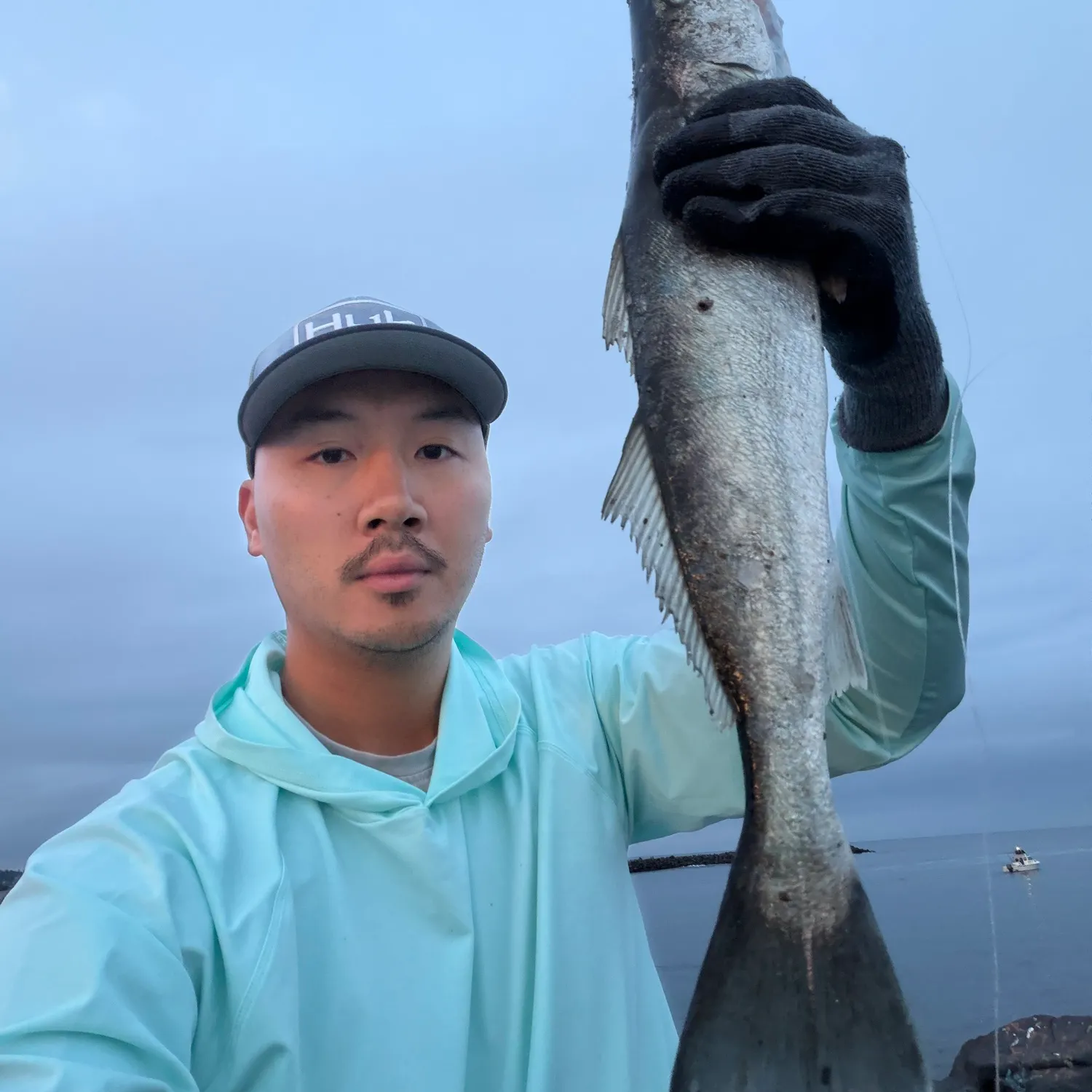 The most recent Shortfin corvina catches on Fishbrain
