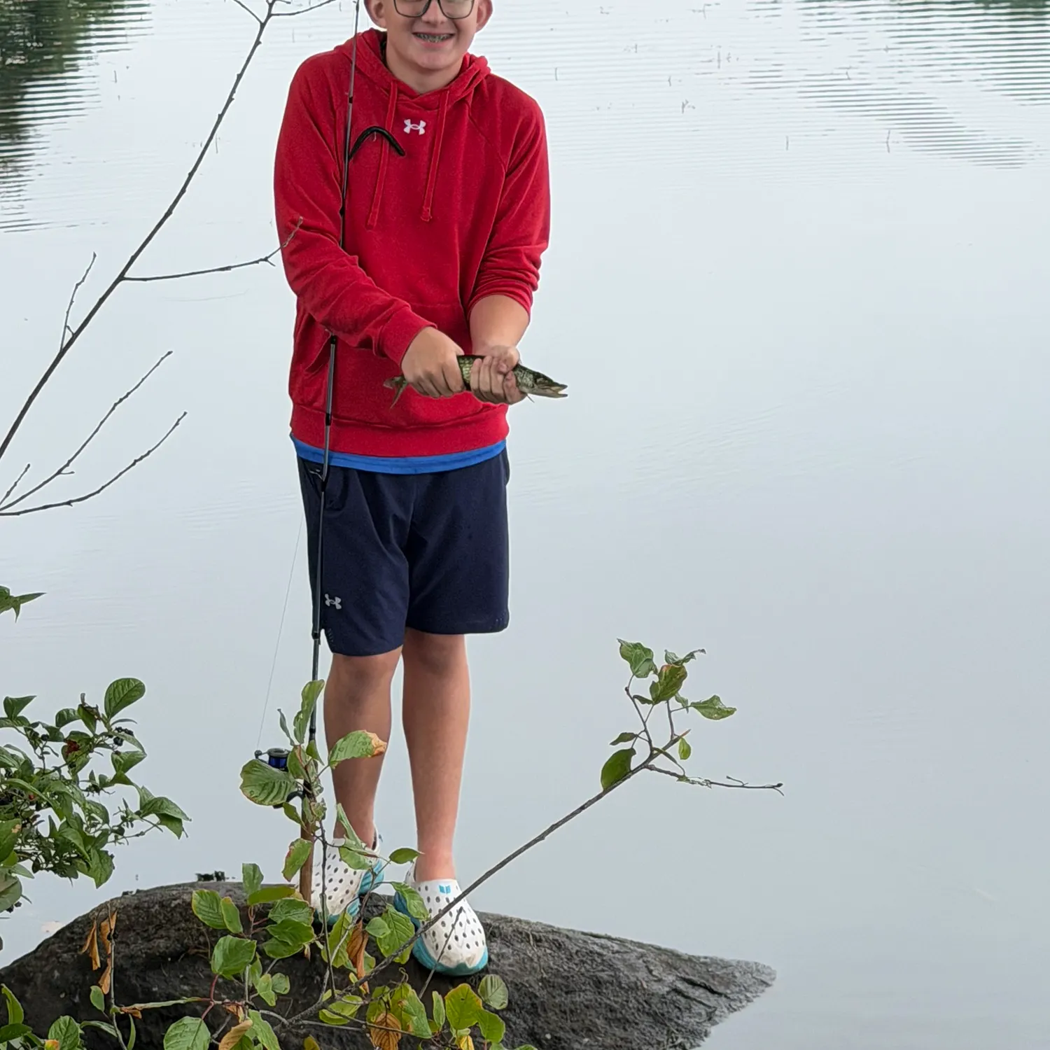 Chain pickerel caught on Fishbrain